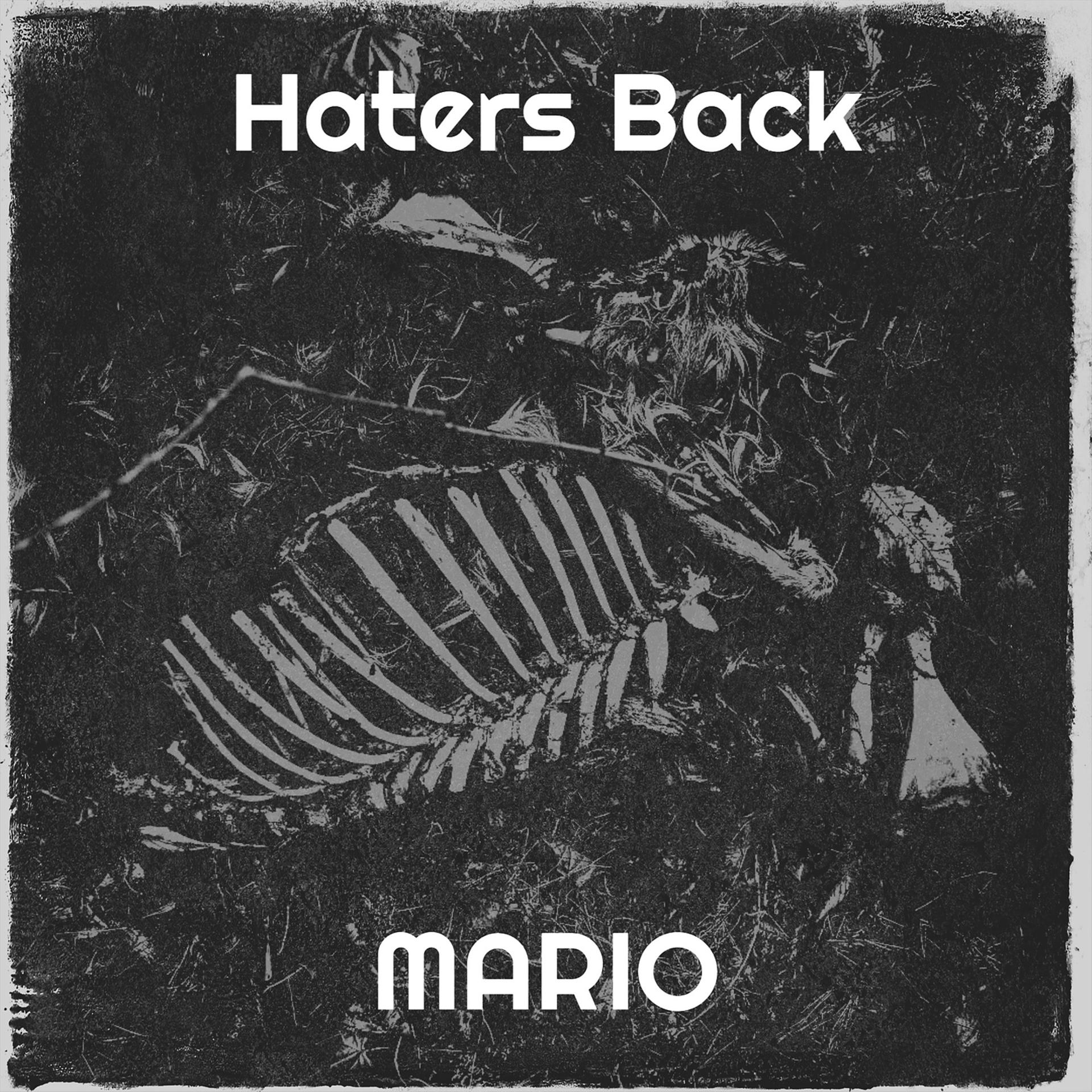 Постер альбома Haters Back