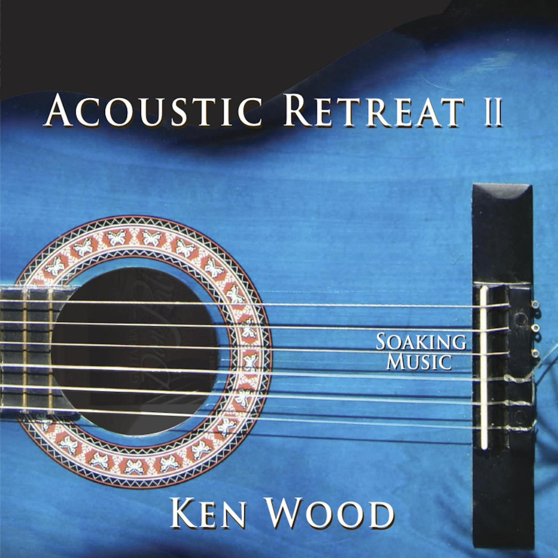 Постер альбома Acoustic Retreat II