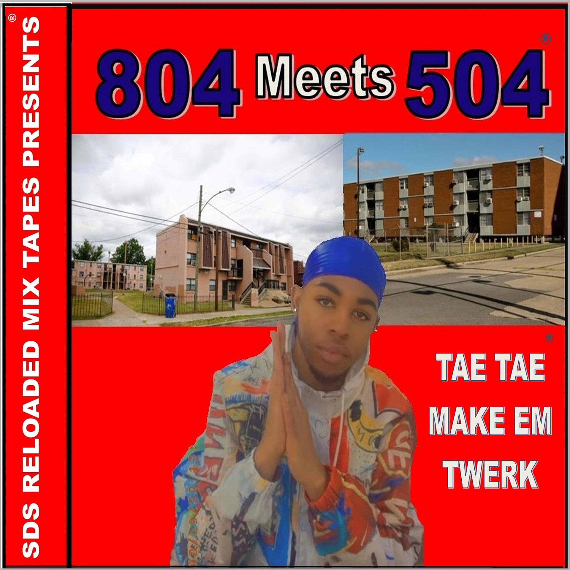 Постер альбома 804 Meets 504 Tae Tae Make Em Twerk
