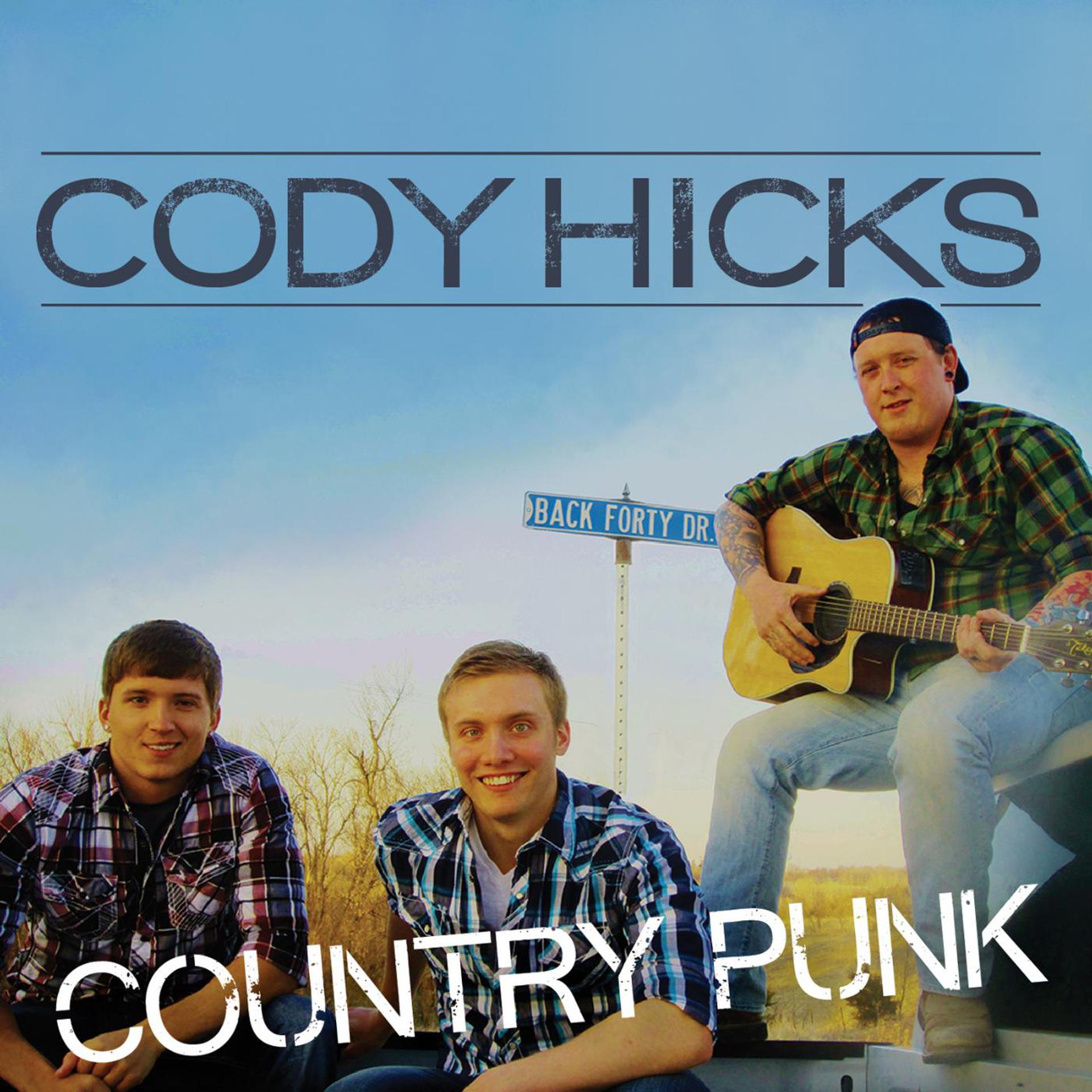 Постер альбома Country Punk
