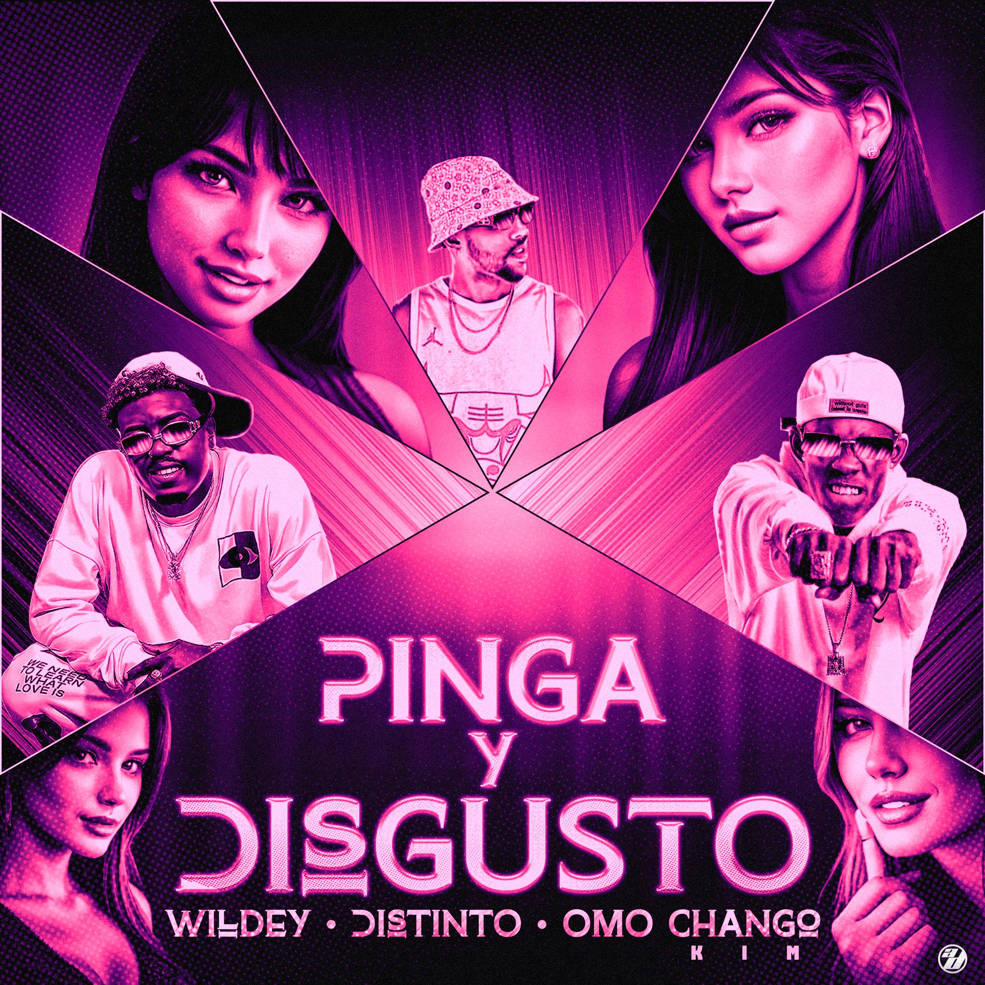 Постер альбома Pinga y Disgusto