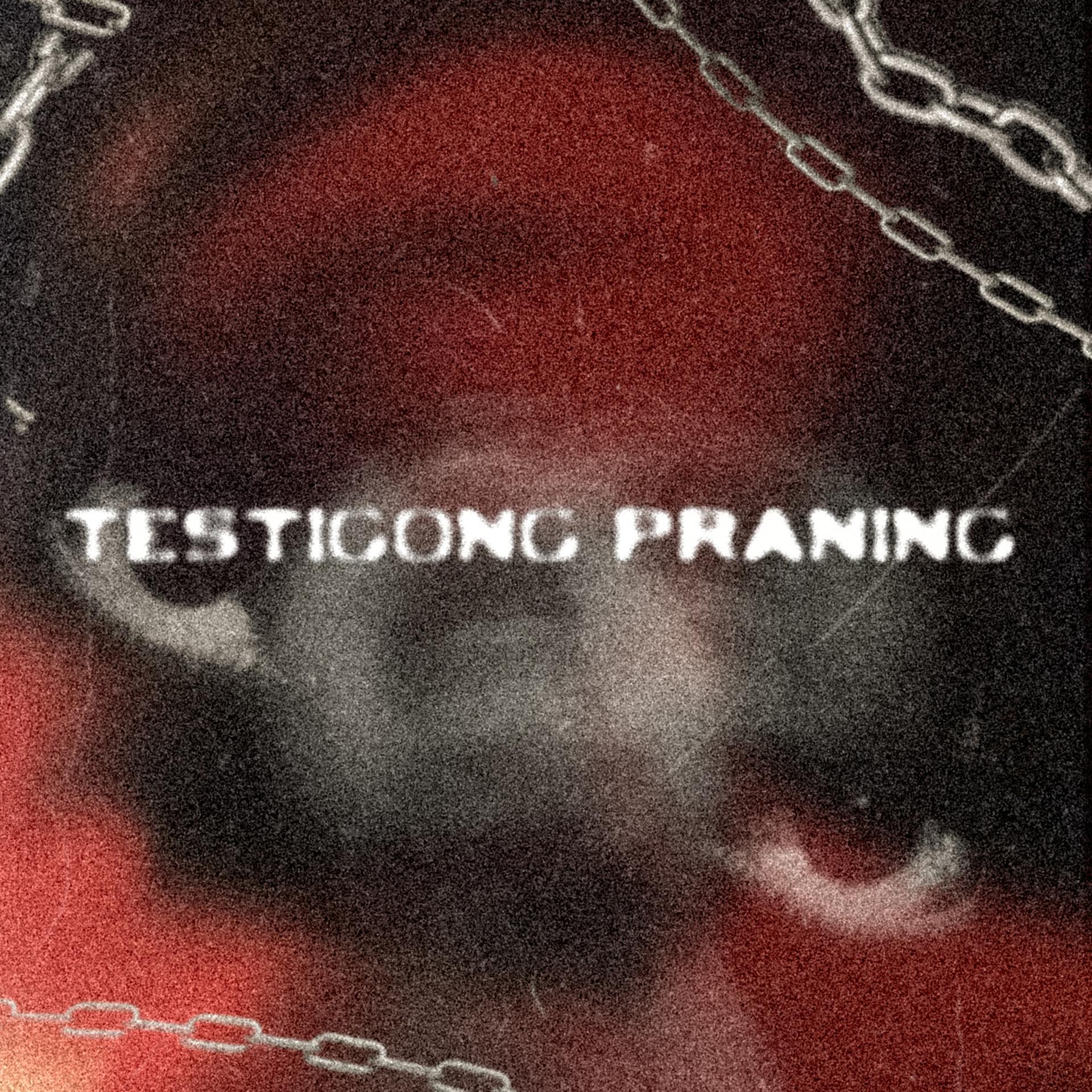 Постер альбома Testigong Praning