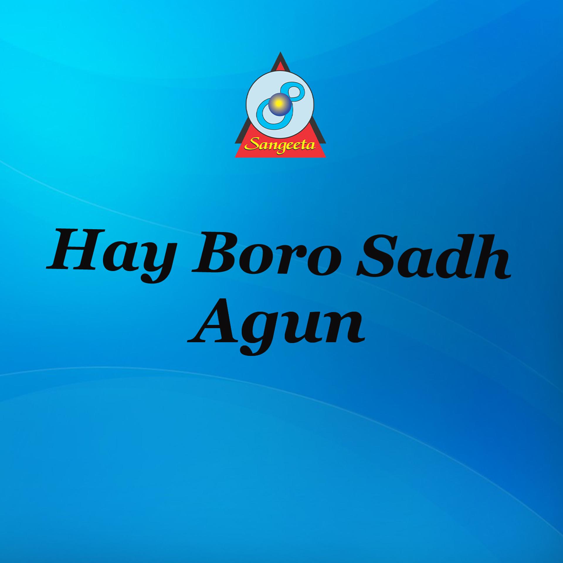 Постер альбома Hay Boro Sadh