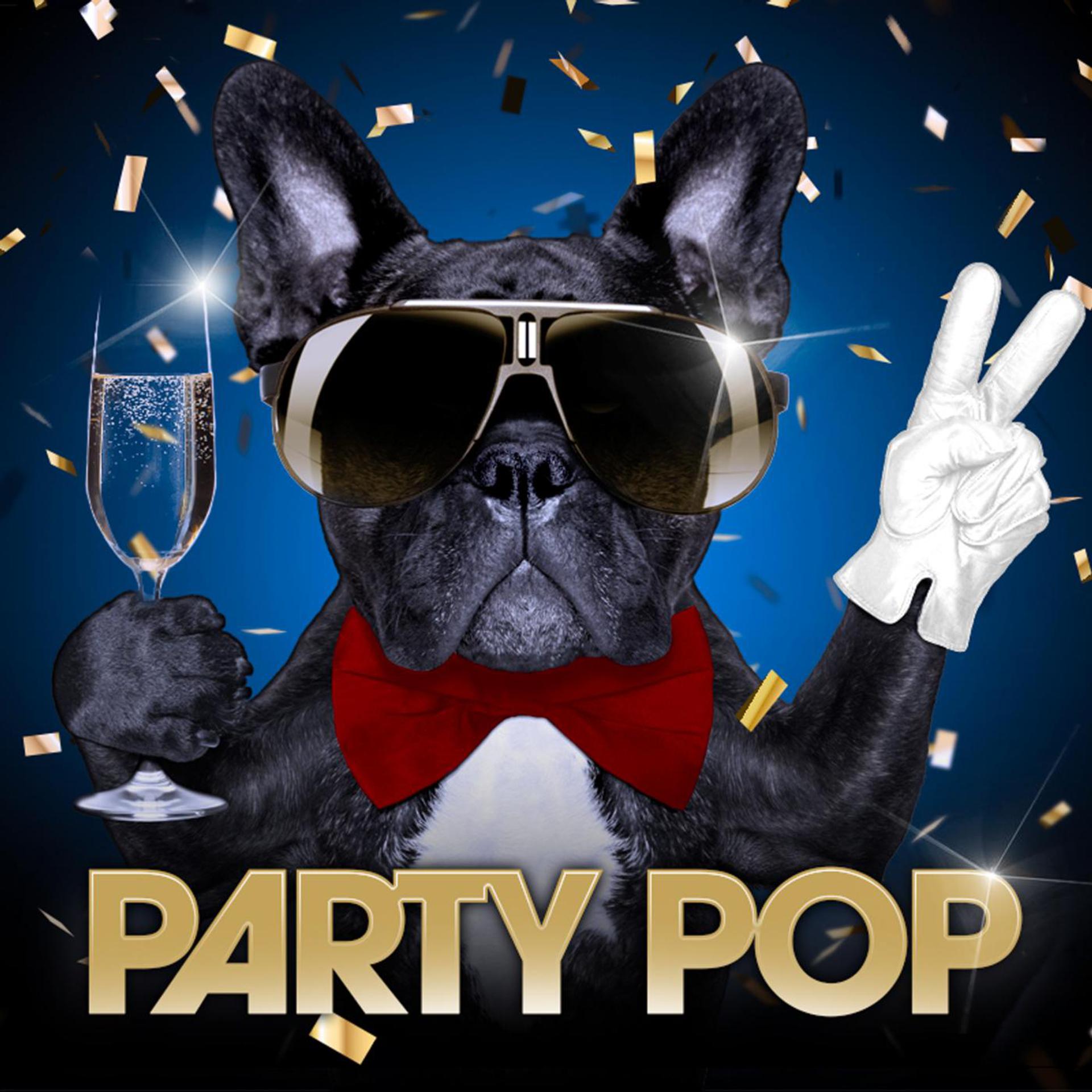 Постер альбома Party Pop