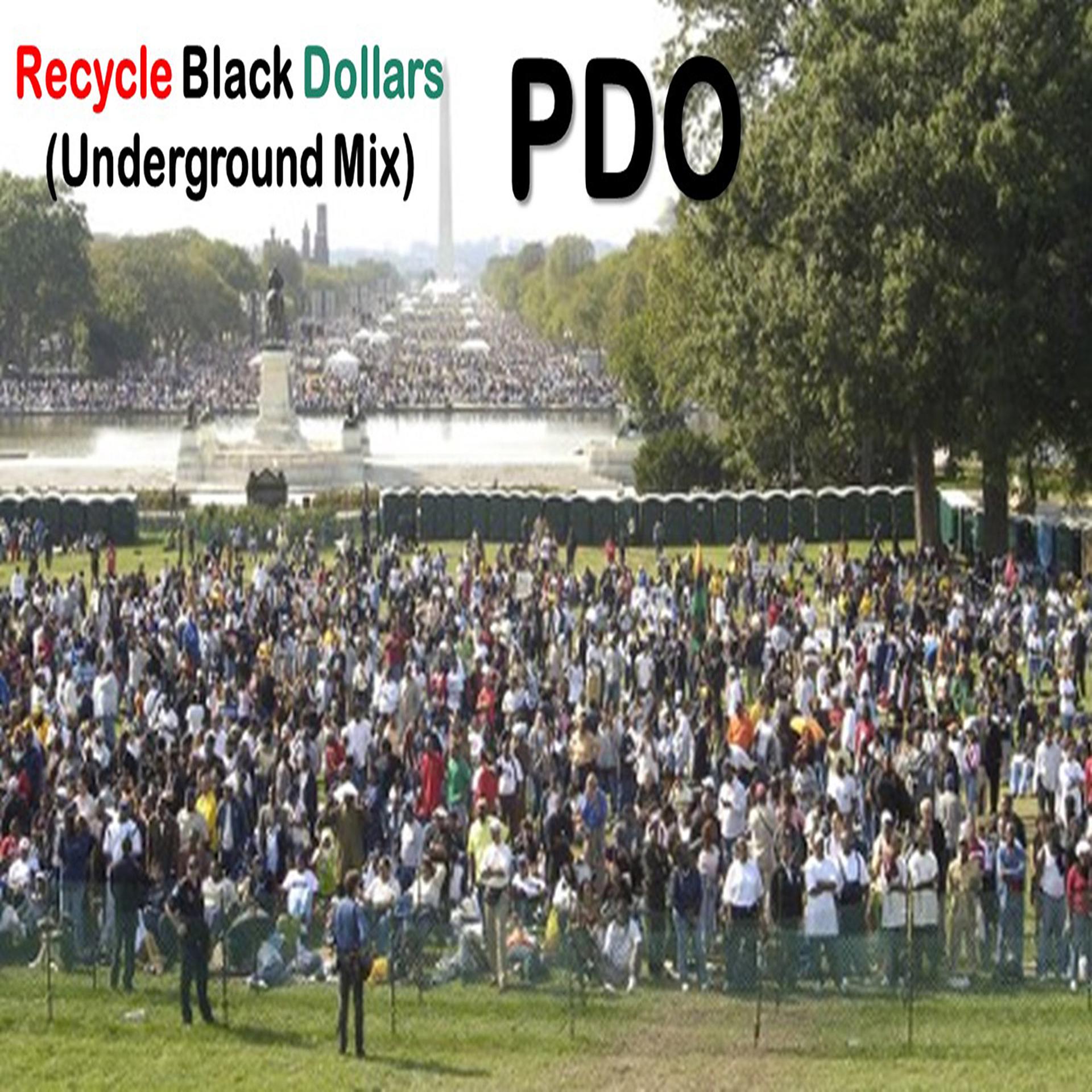 Постер альбома Recycle Black Dollars (Underground Mix)
