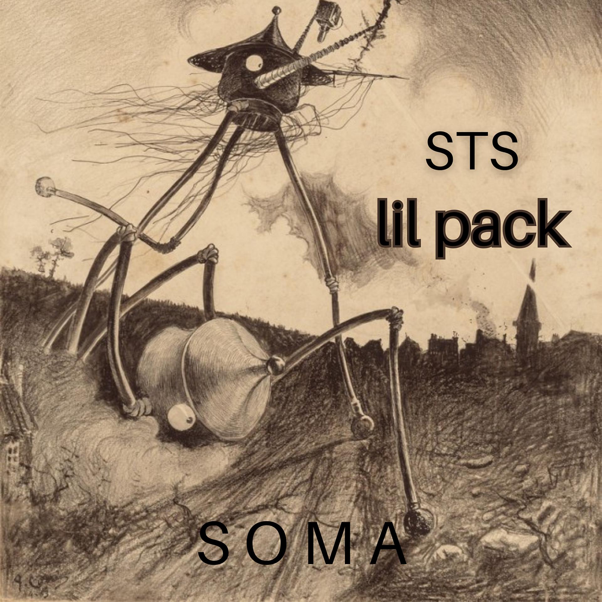 Постер альбома Lil pack
