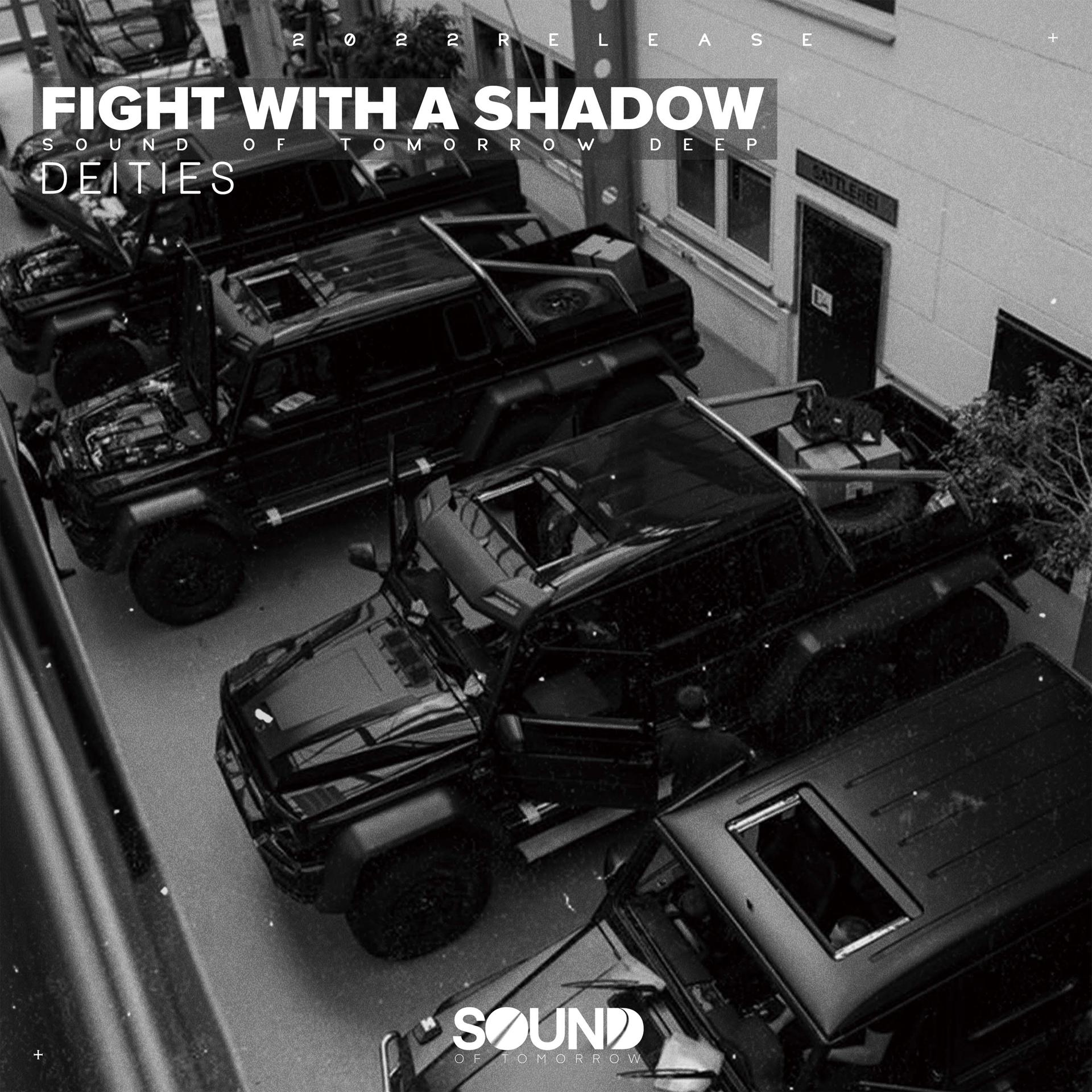 Постер альбома Fight With A Shadow