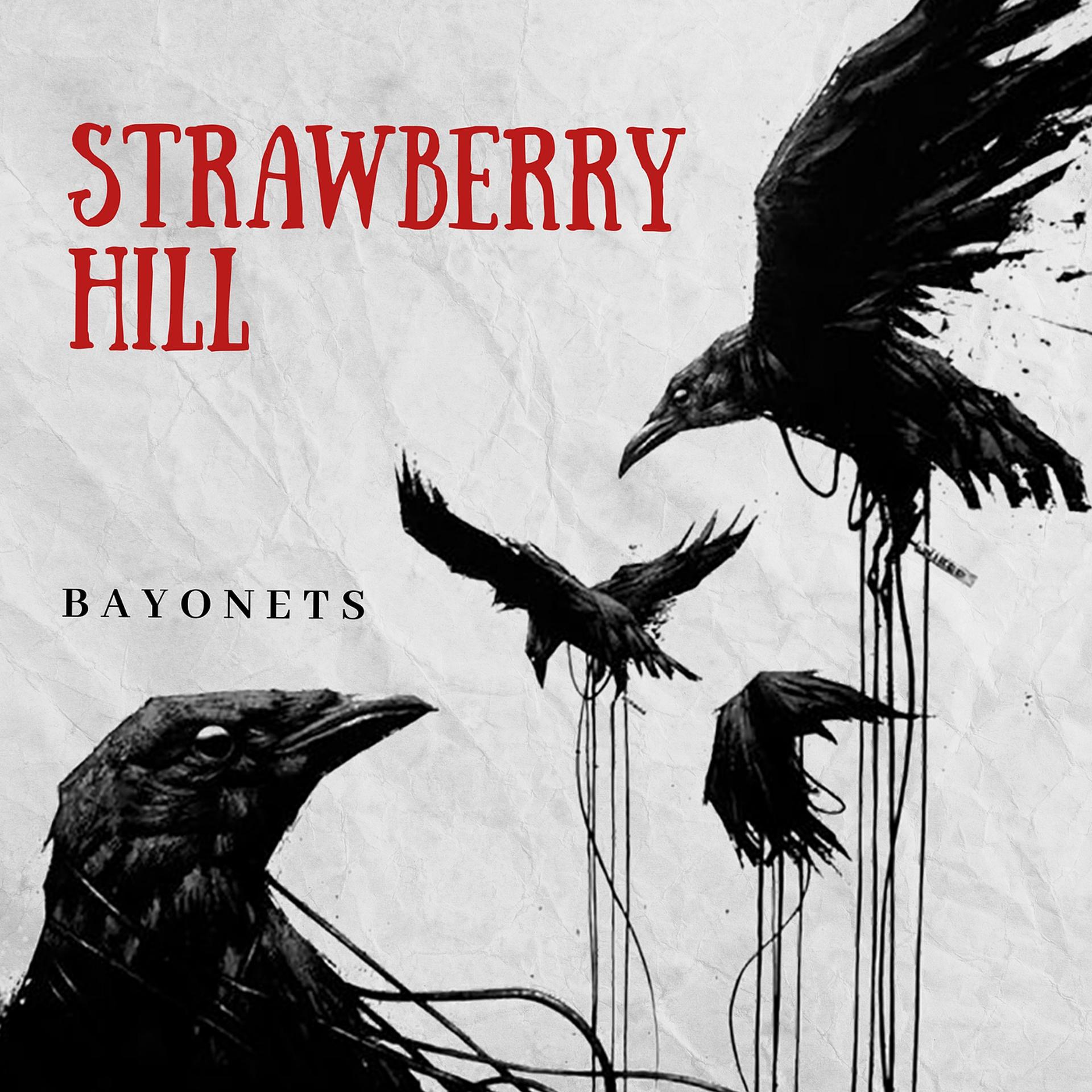Постер альбома Strawberry Hill