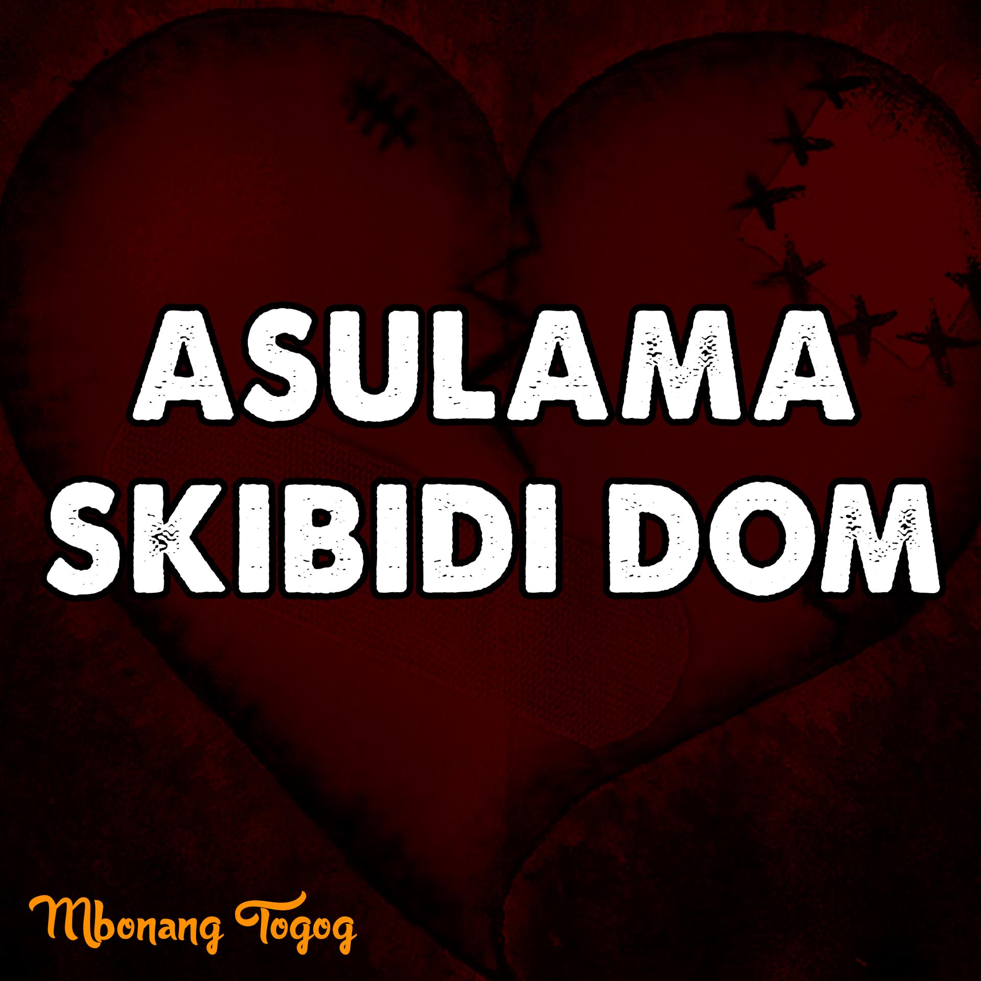 Постер альбома Asulama Skibidi Dom