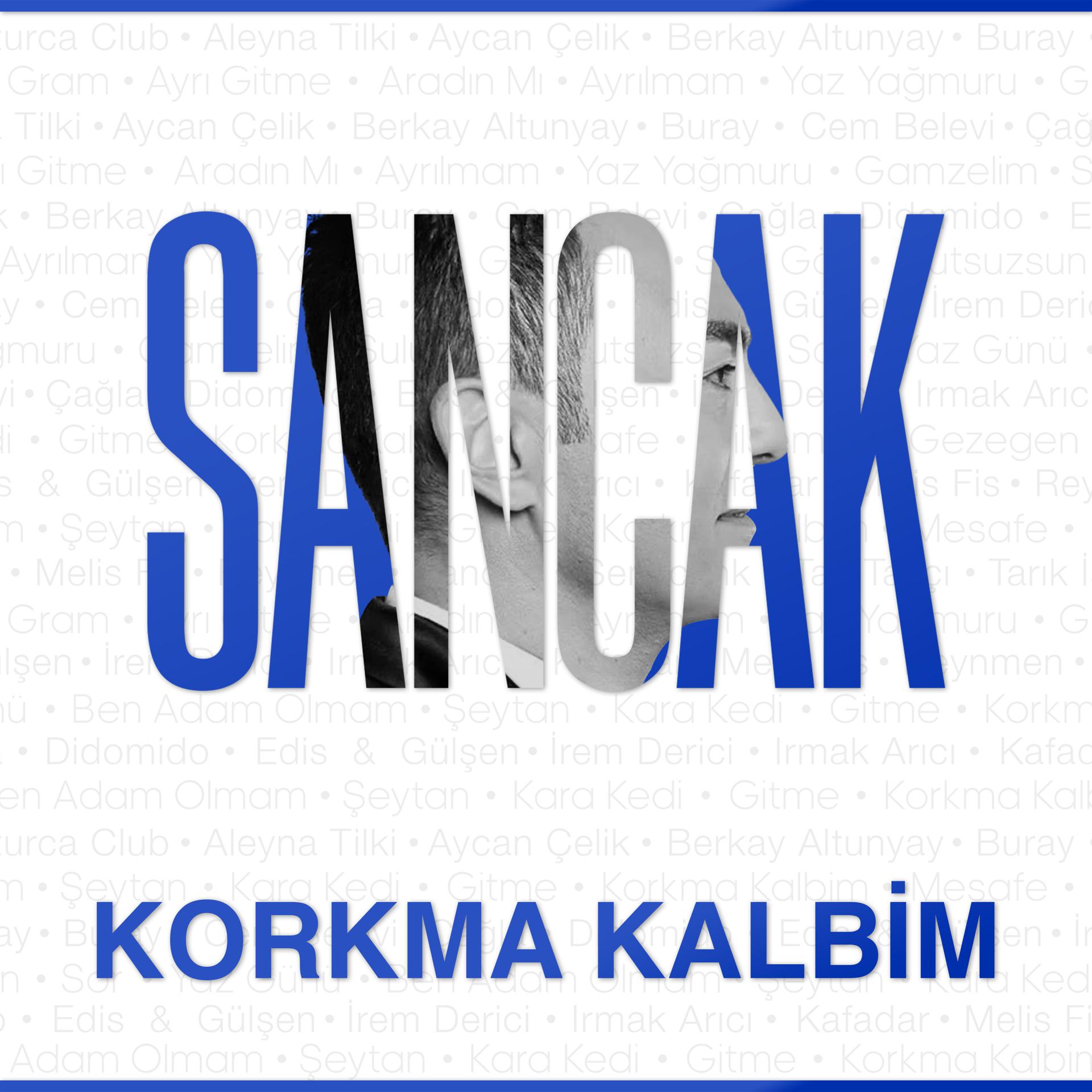 Постер альбома Korkma Kalbim