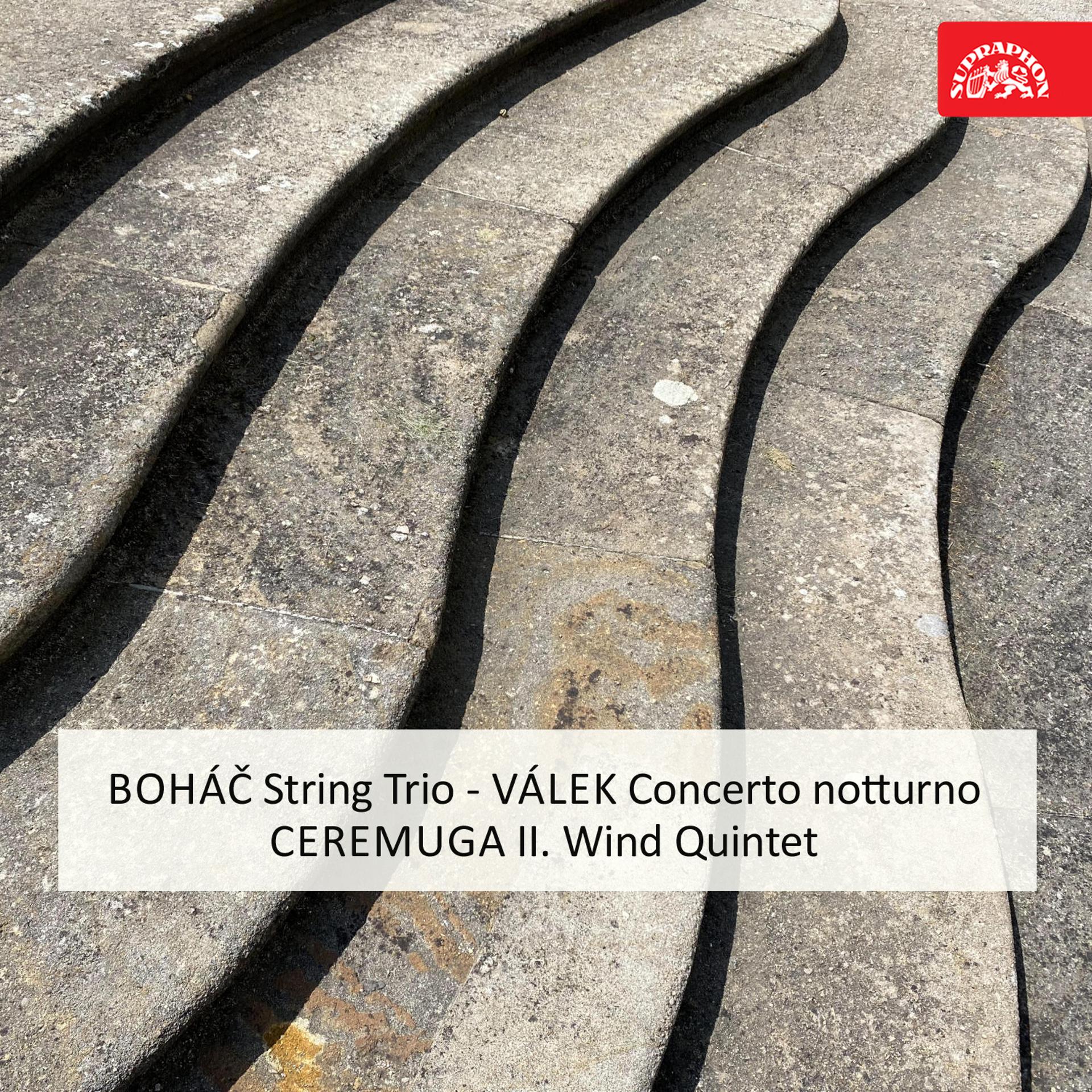 Постер альбома Boháč: String Trio - Válek: Concerto notturno - Ceremuga: II. Wind Quintet