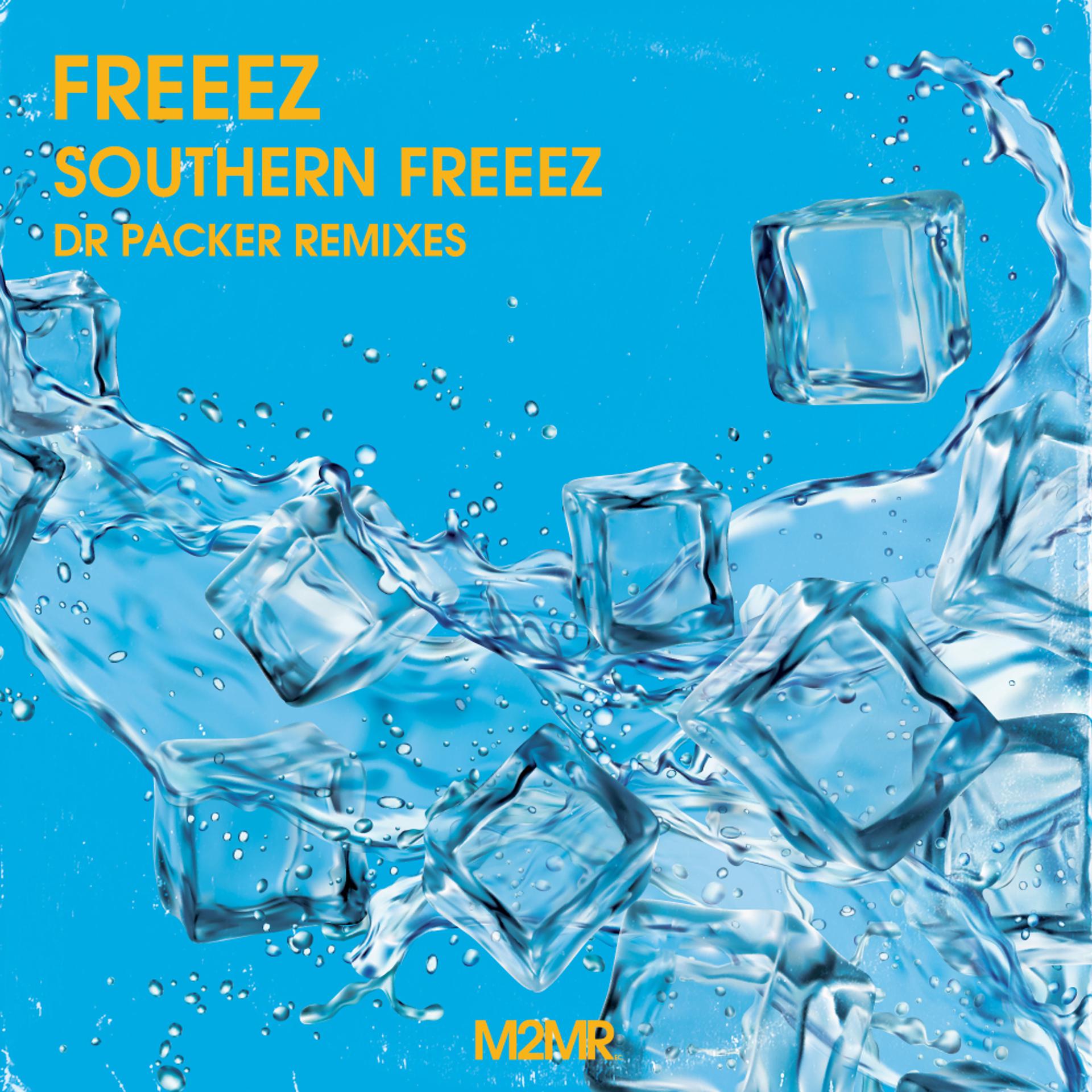 Постер альбома Southern Freeez Dr Packer Remixes