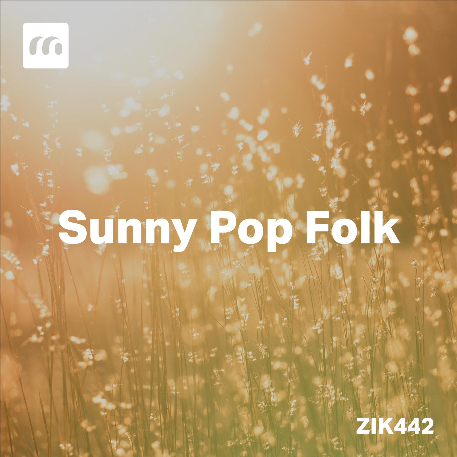 Постер альбома Sunny Pop Folk
