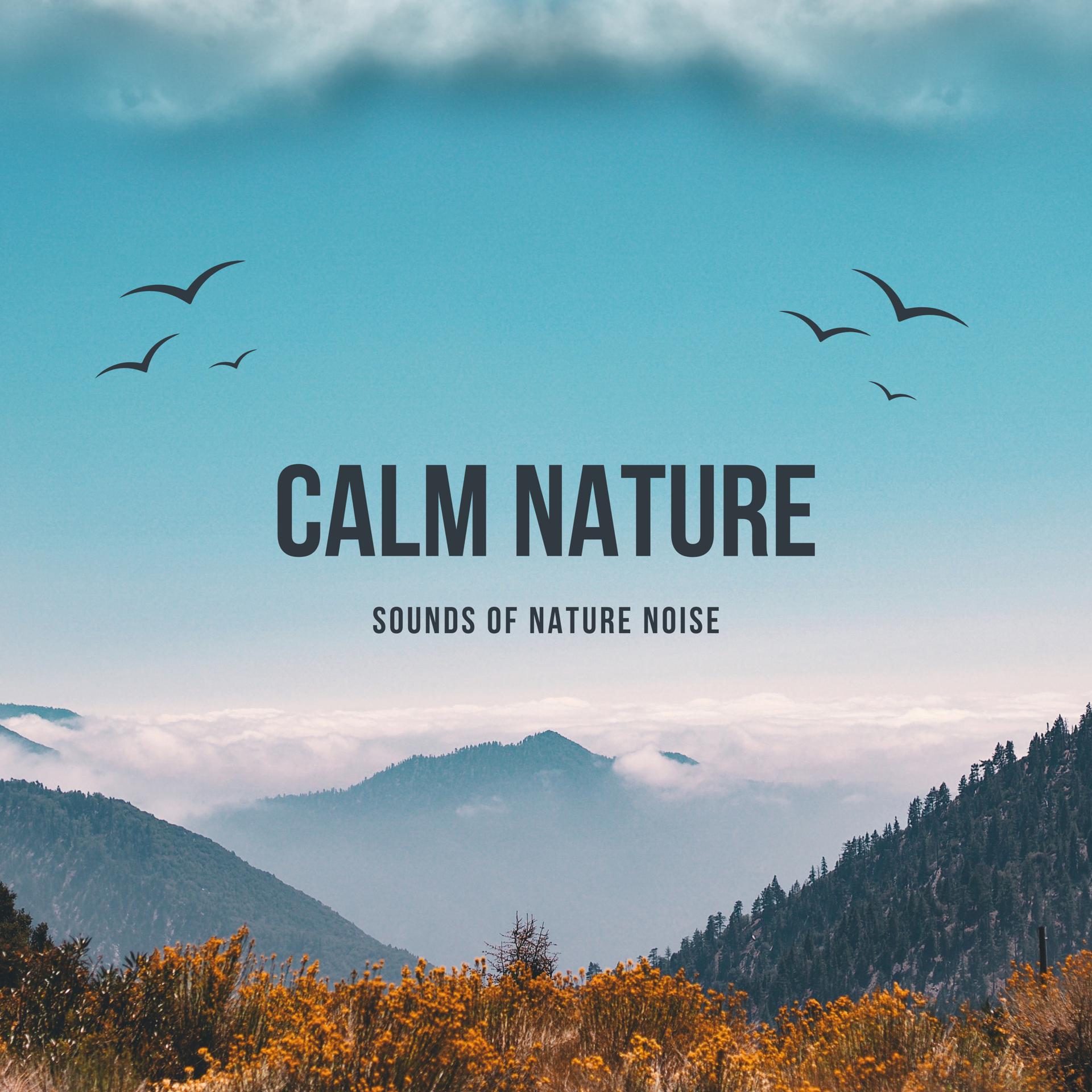 Постер альбома Calm Nature