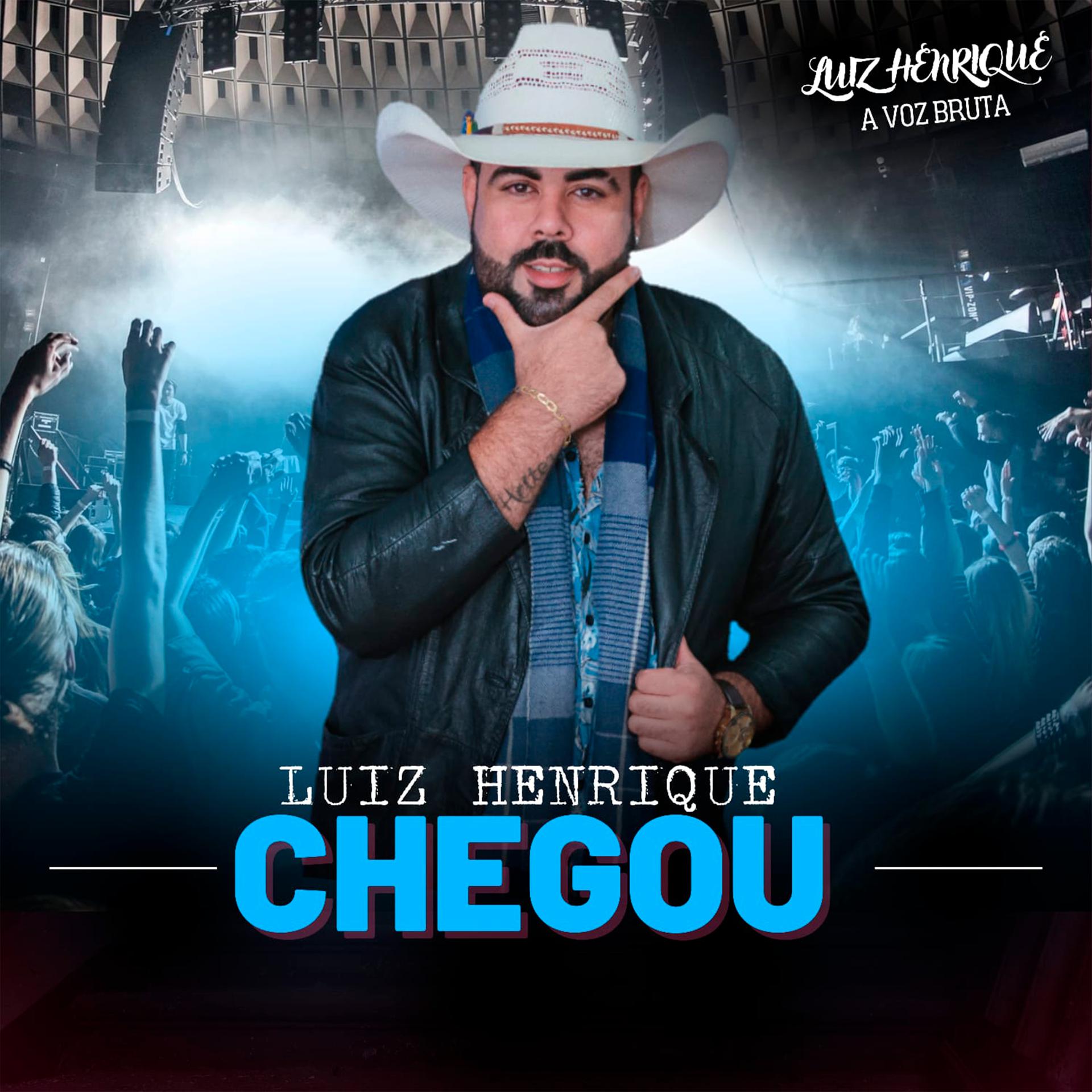 Постер альбома Luiz Henrique Chegou