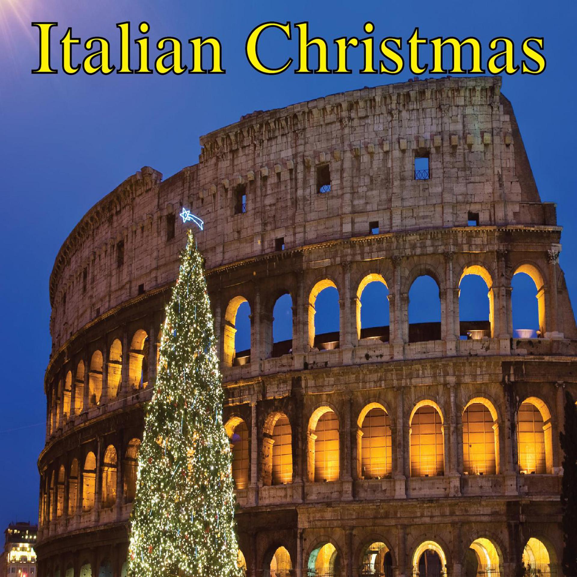 Постер альбома Italian Christmas Music: Tu Scendi Dalle Stelle and Other Italian Christmas Mandolin Favorites