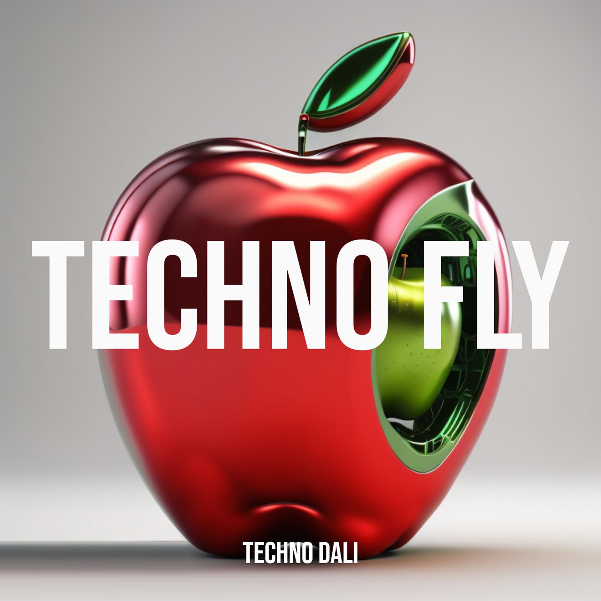 Постер альбома Techno Fly
