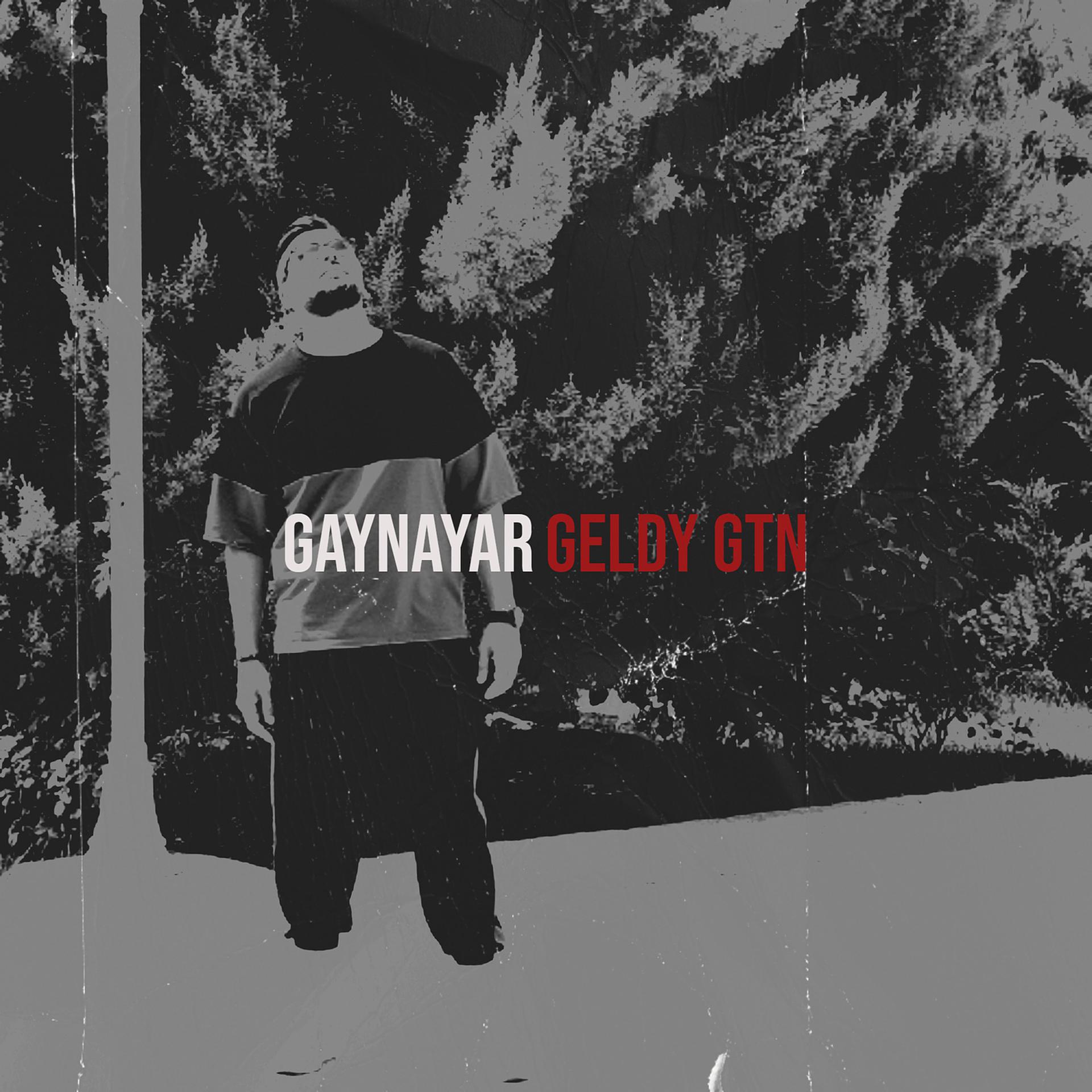 Постер альбома Gaynayar