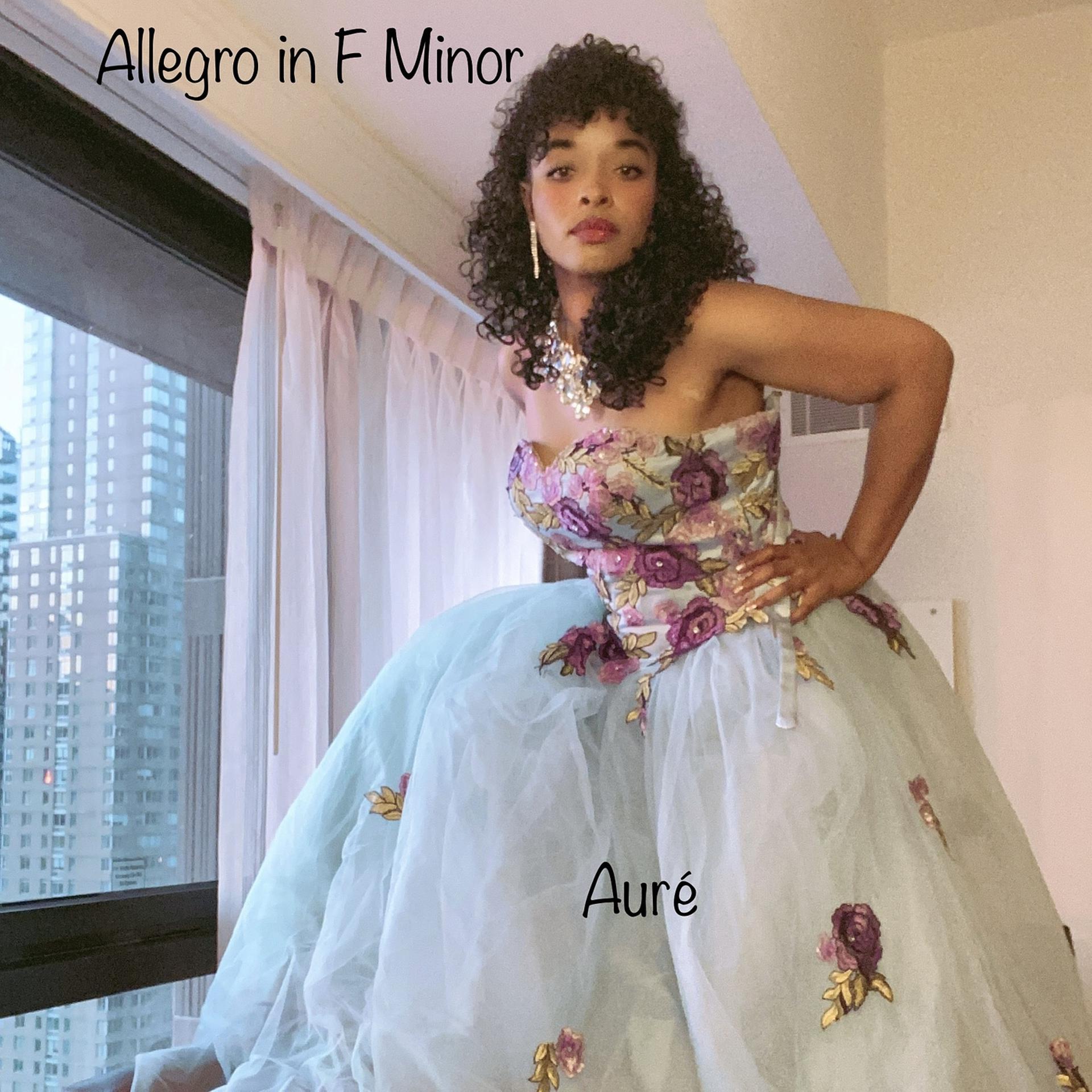 Постер альбома Allegro in F Minor