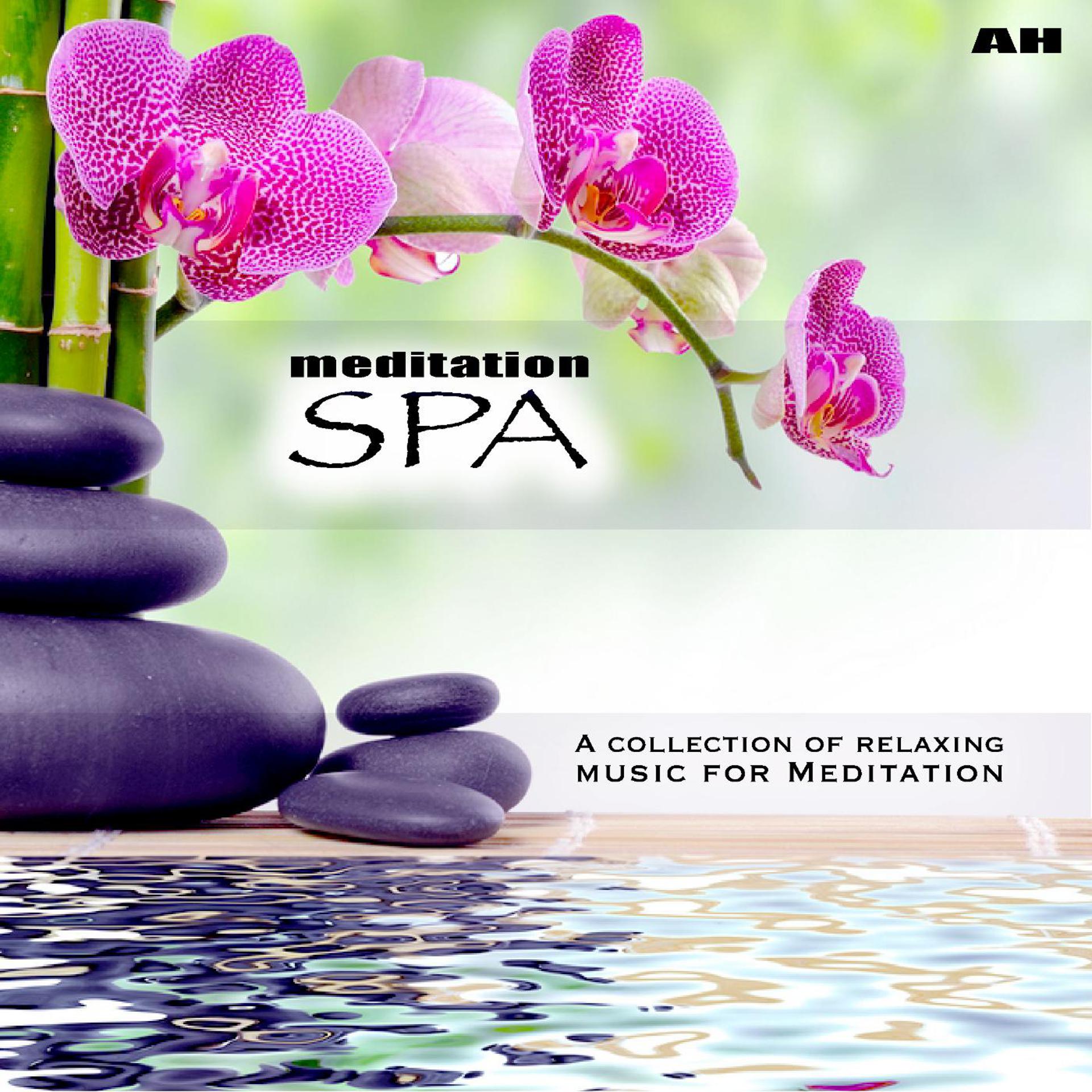 Постер альбома Meditation Spa