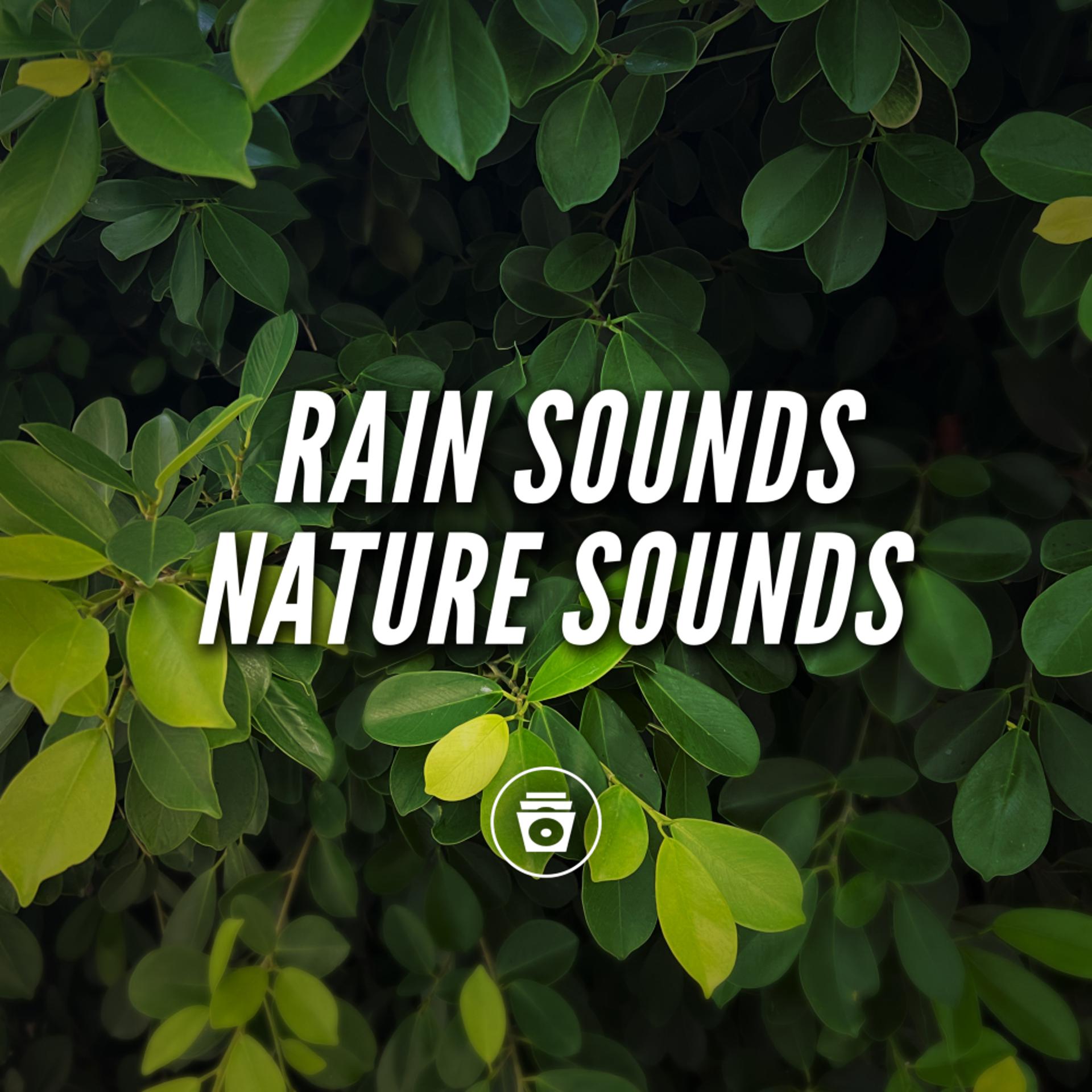 Постер альбома Rain Sounds Nature Sounds