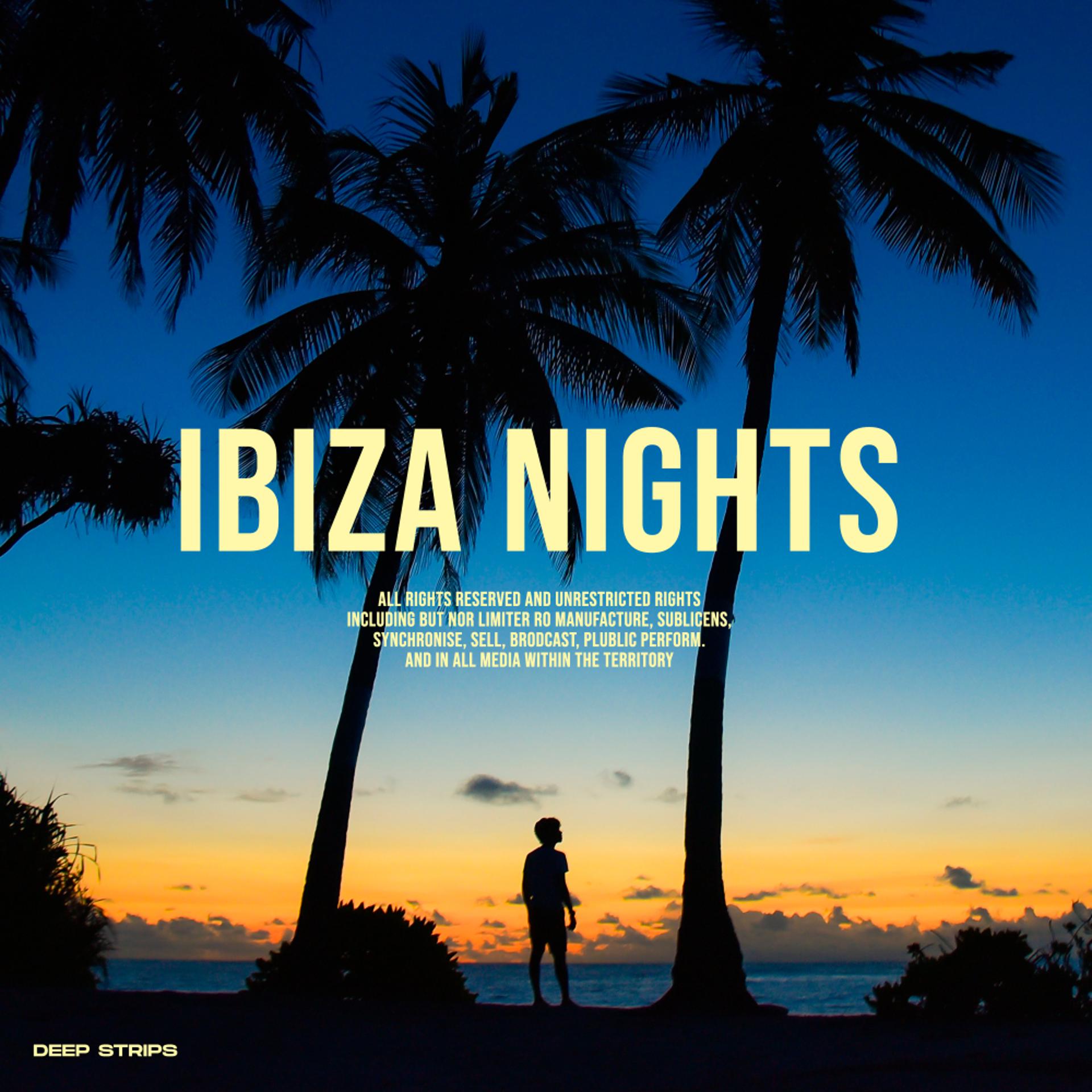 Постер альбома Ibiza Summer Nights