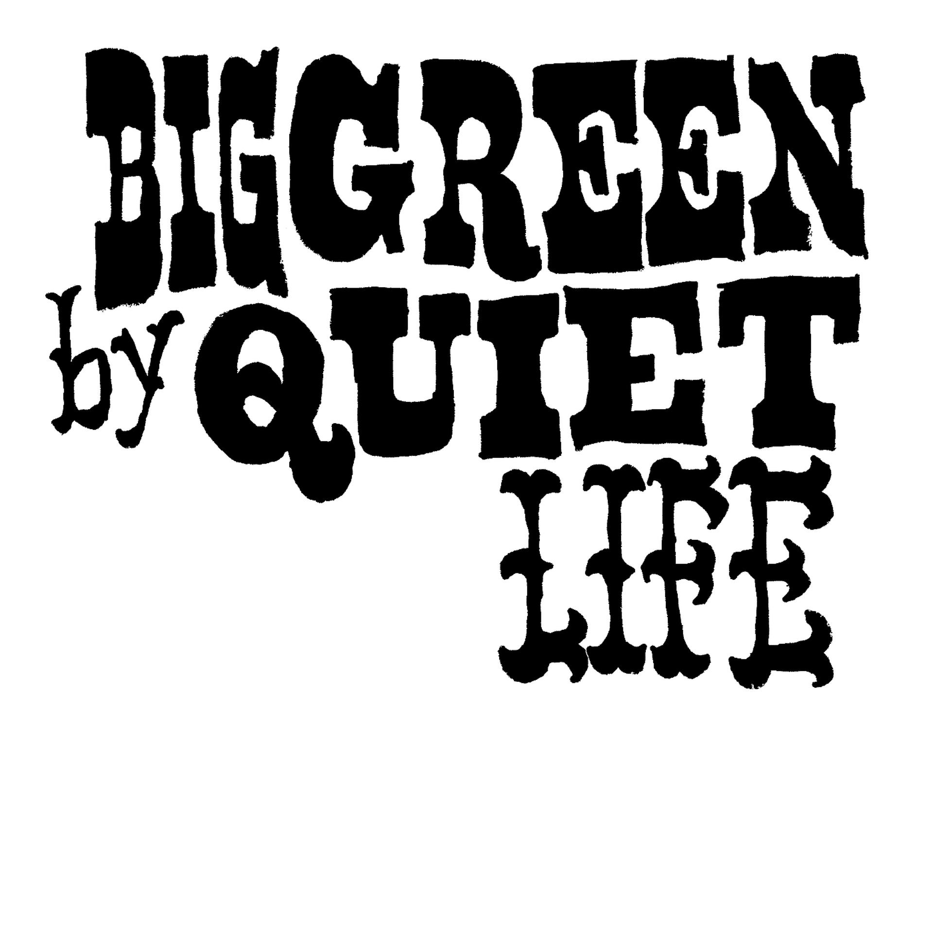 Постер альбома Big Green