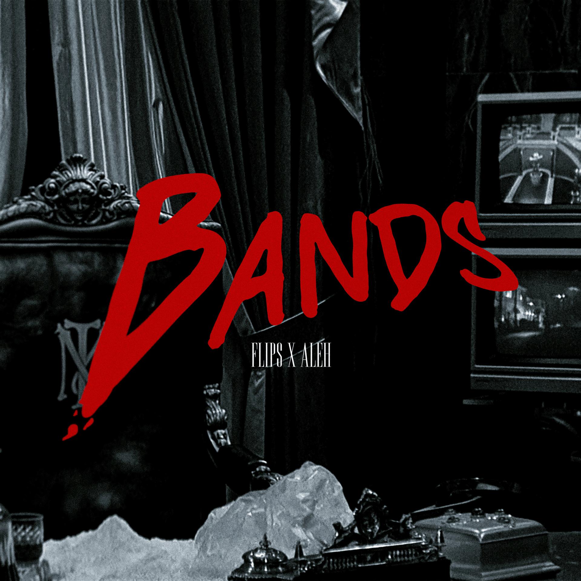 Постер альбома Bands