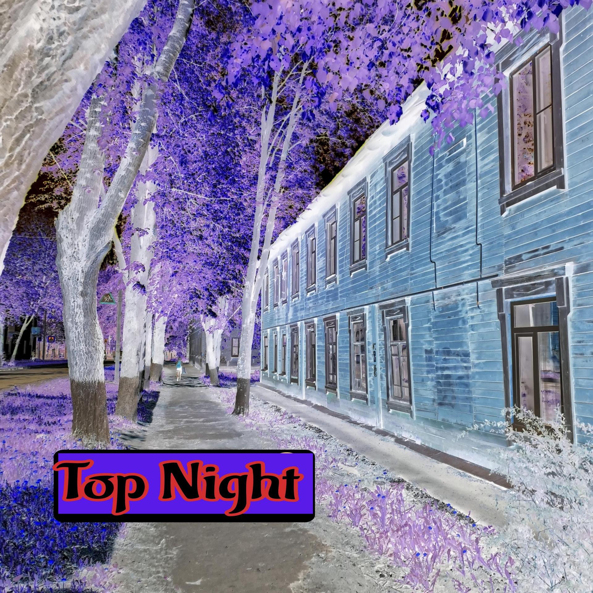 Постер альбома Top Night