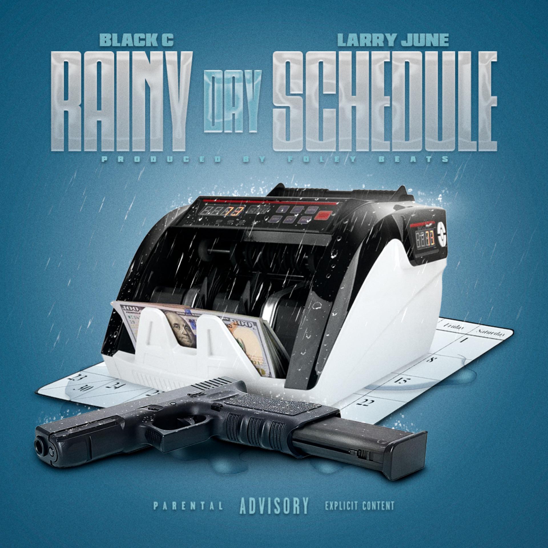 Постер альбома Rainy Day Schedule