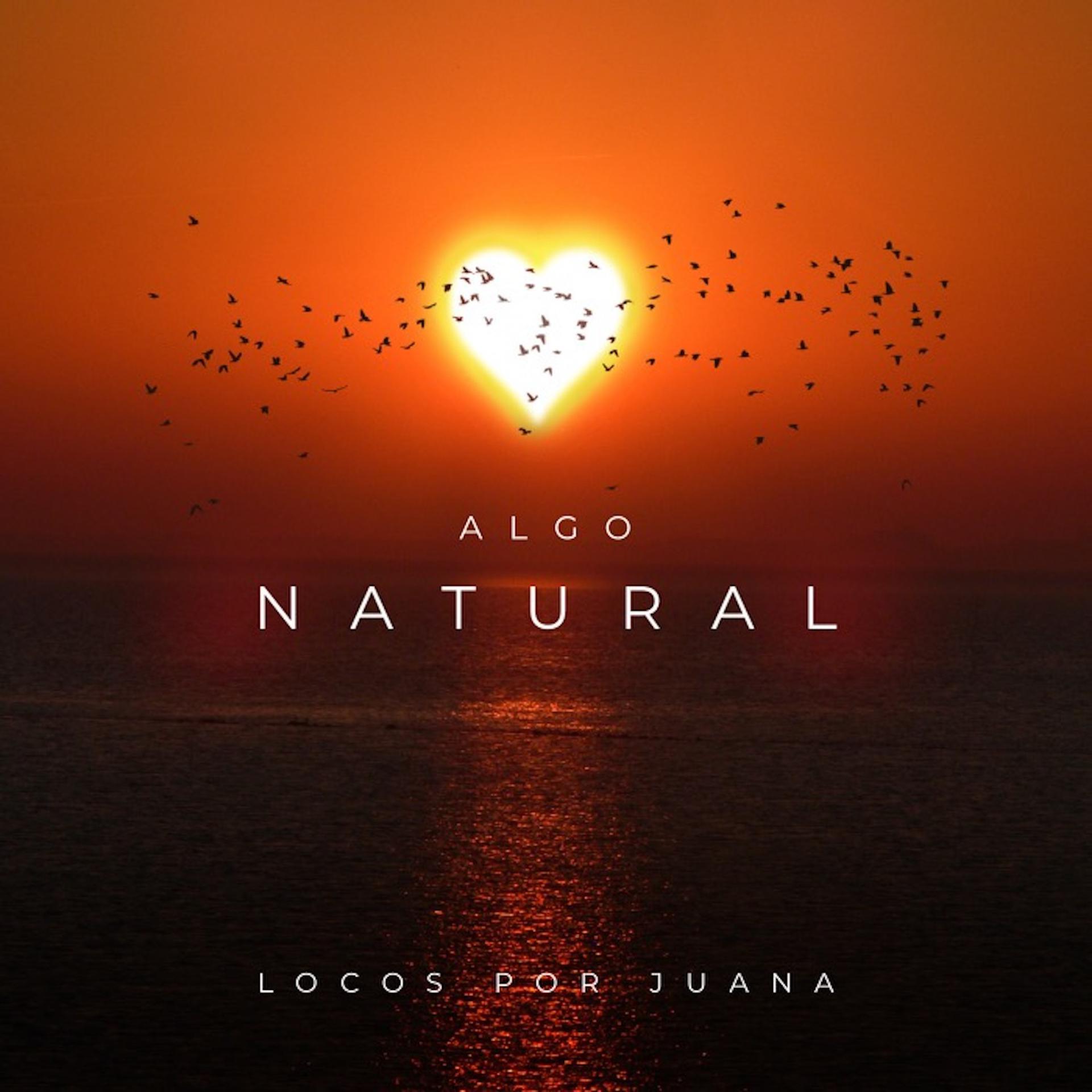 Постер альбома Algo Natural