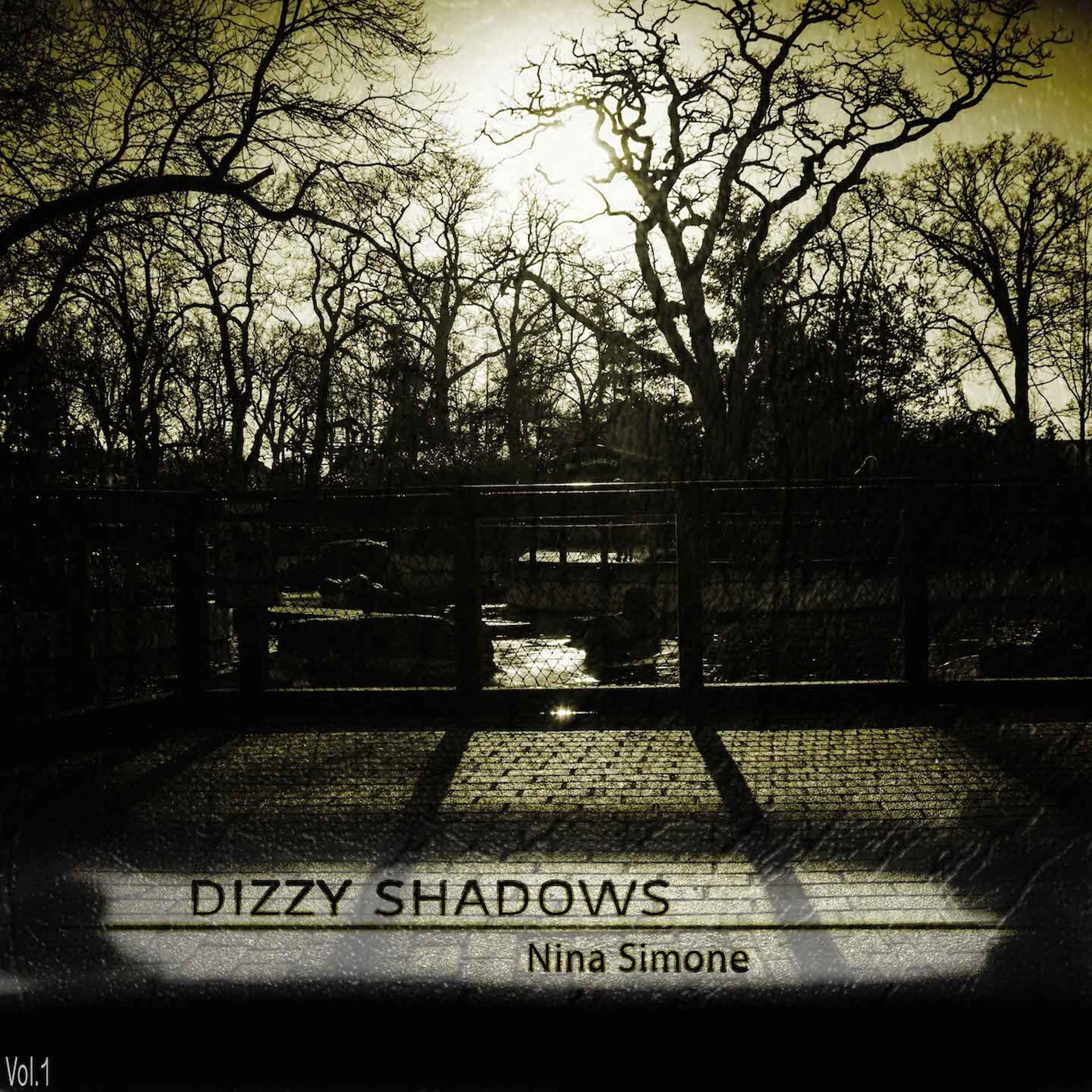 Постер альбома Dizzy Shadows, Vol.1