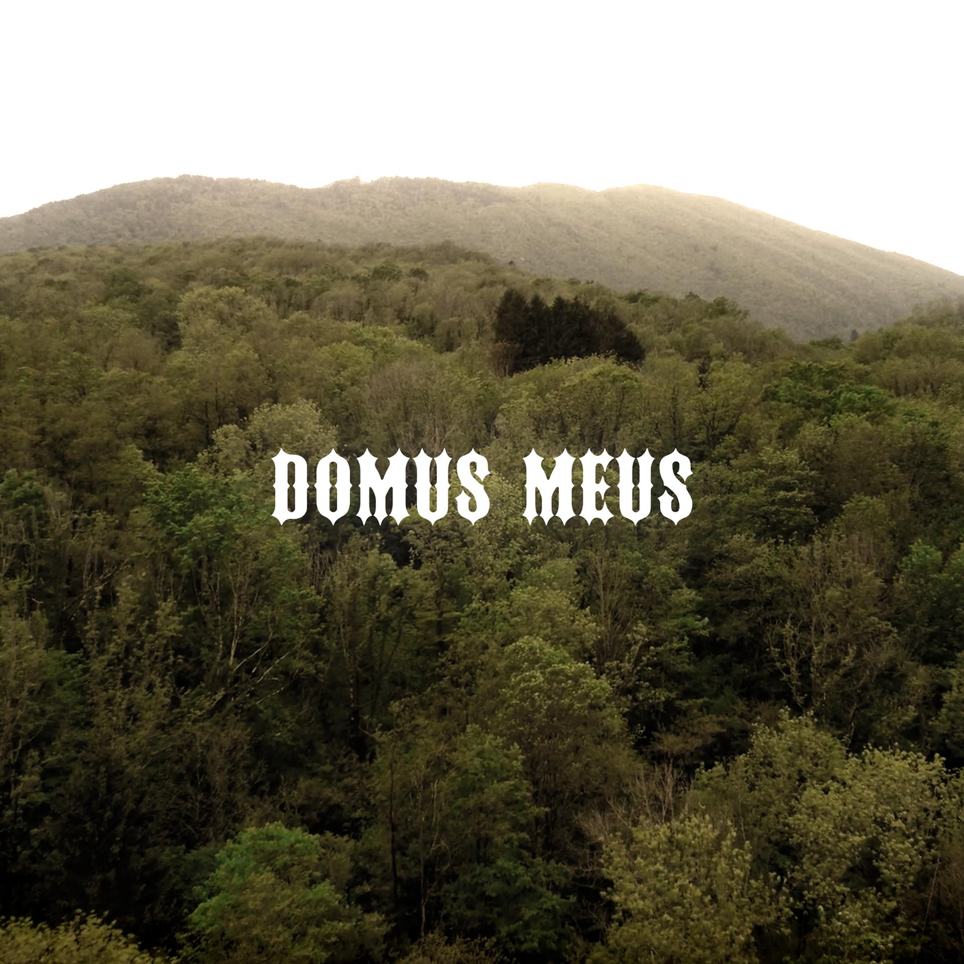 Постер альбома Domus Meus