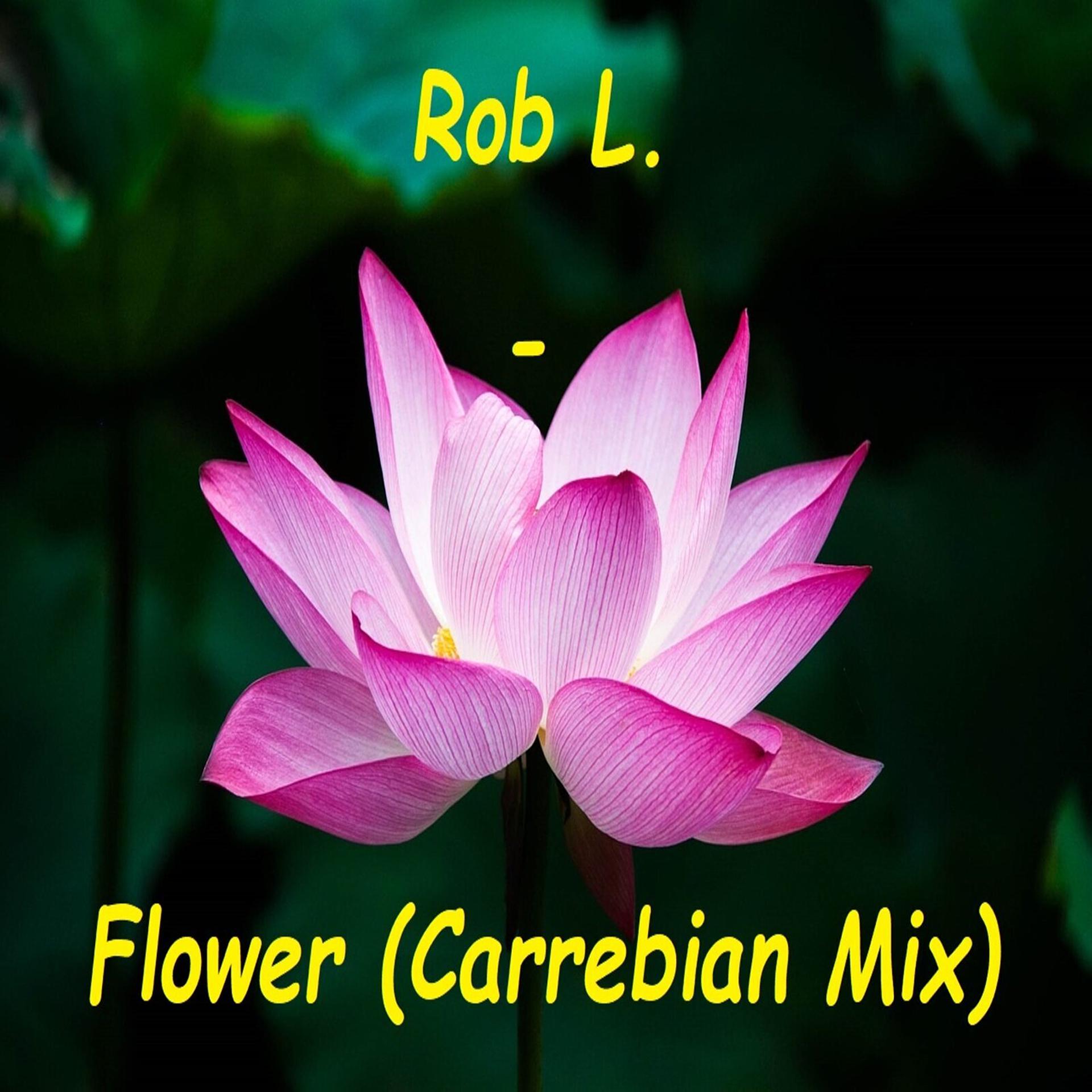 Постер альбома Flower (Carrebian Mix)