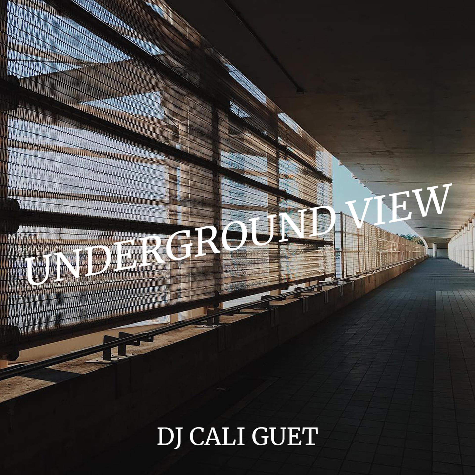 Постер альбома Underground View