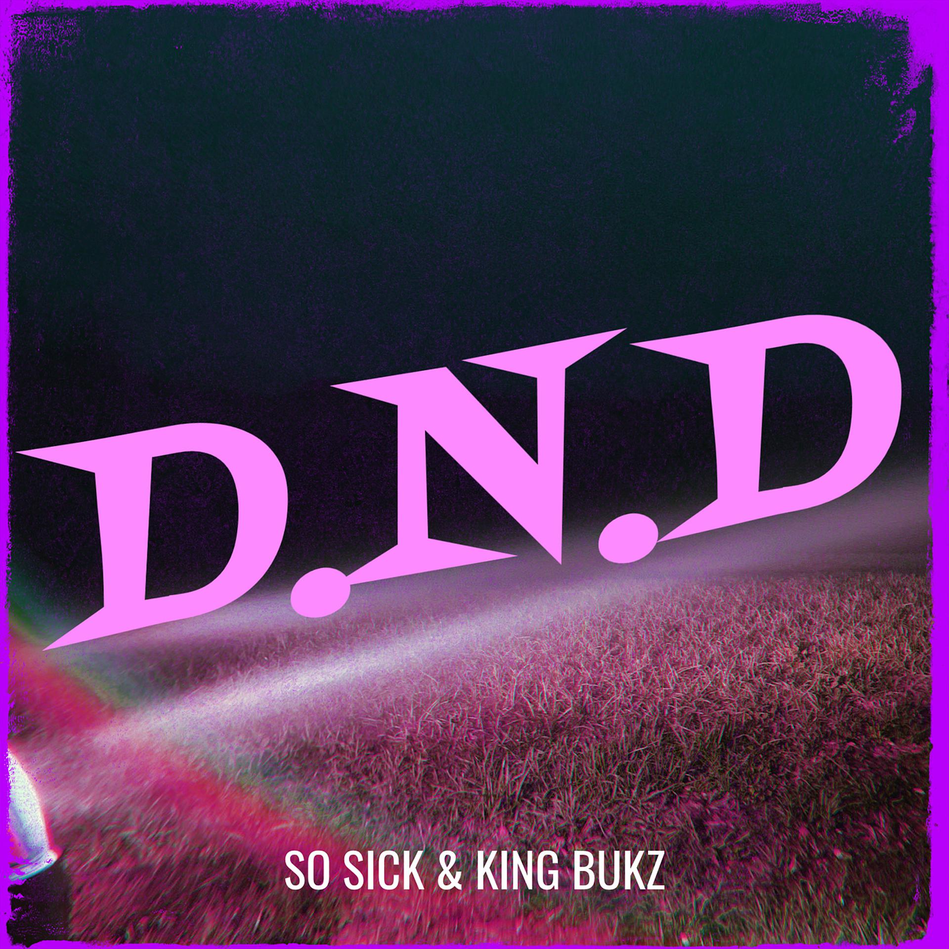 Постер альбома D.N.D
