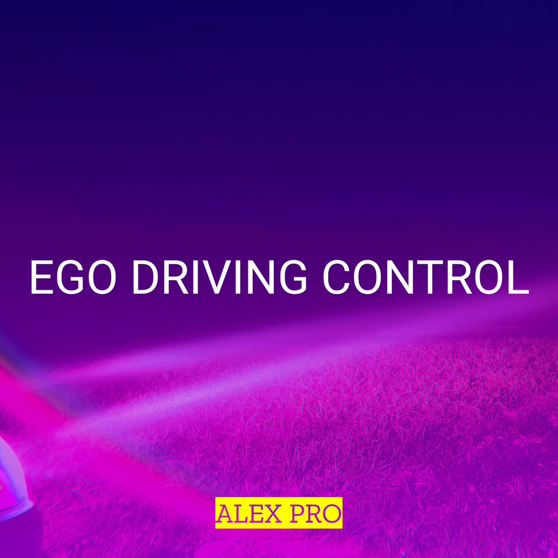 Постер альбома Ego Driving Control