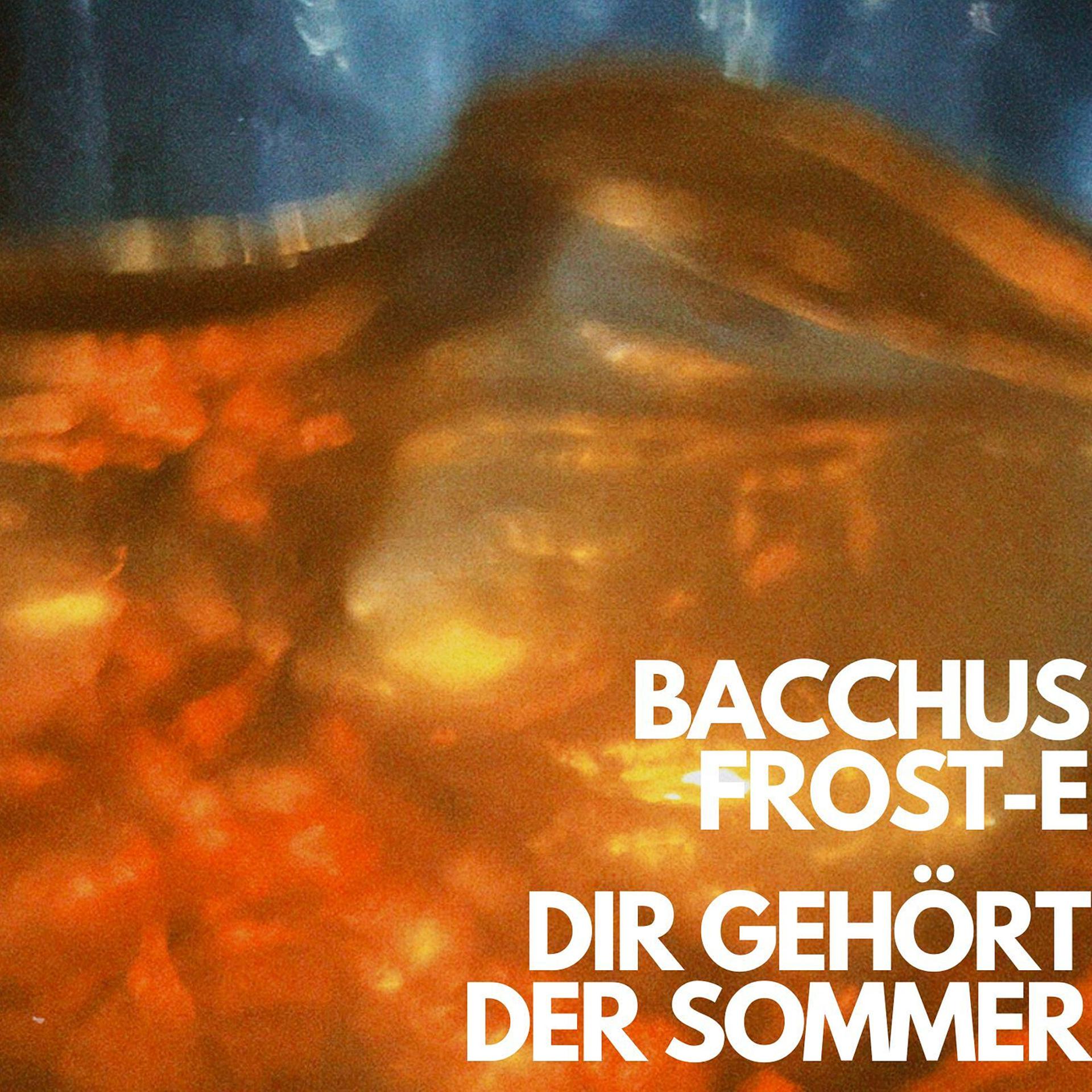 Постер альбома Dir Gehört Der Sommer
