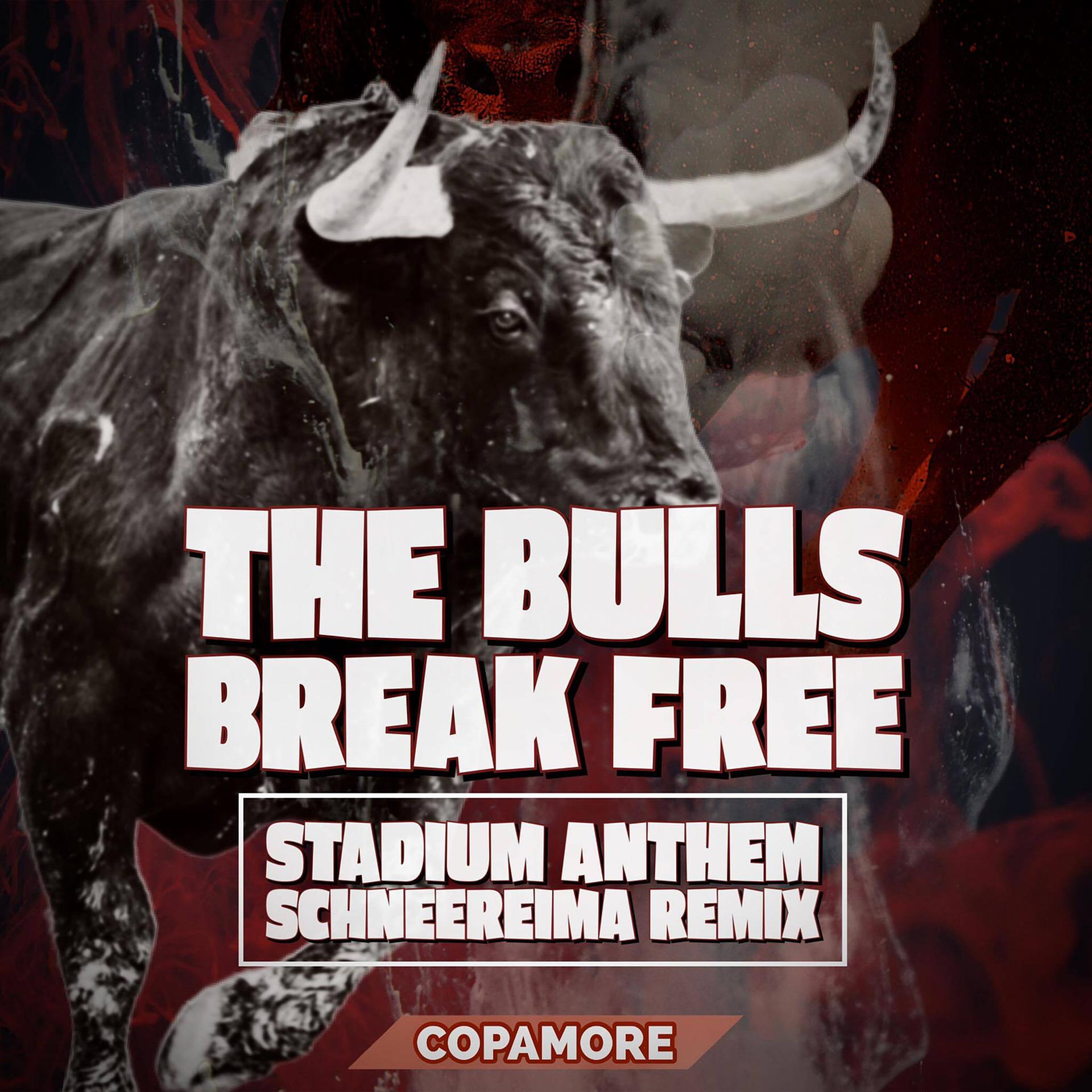 Постер альбома The Bulls Break Free (Stadium Anthem Schneereima Remix)