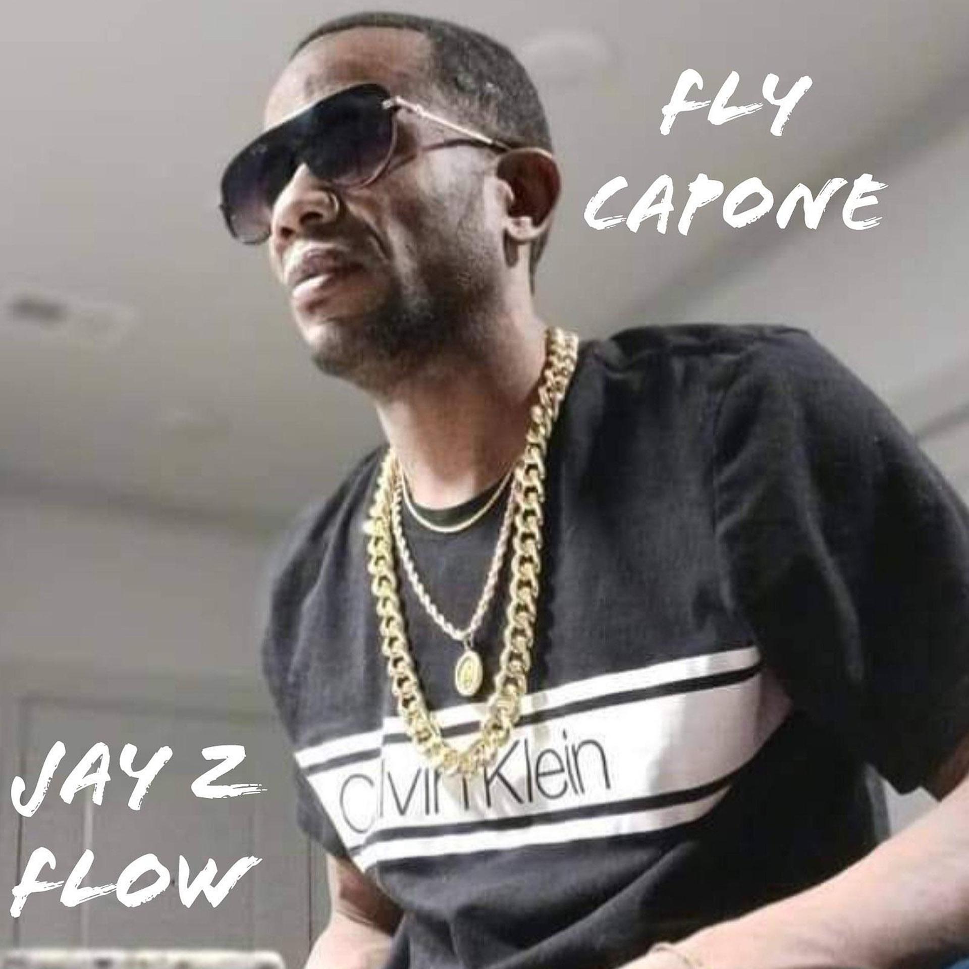 Постер альбома Jay Z Flow