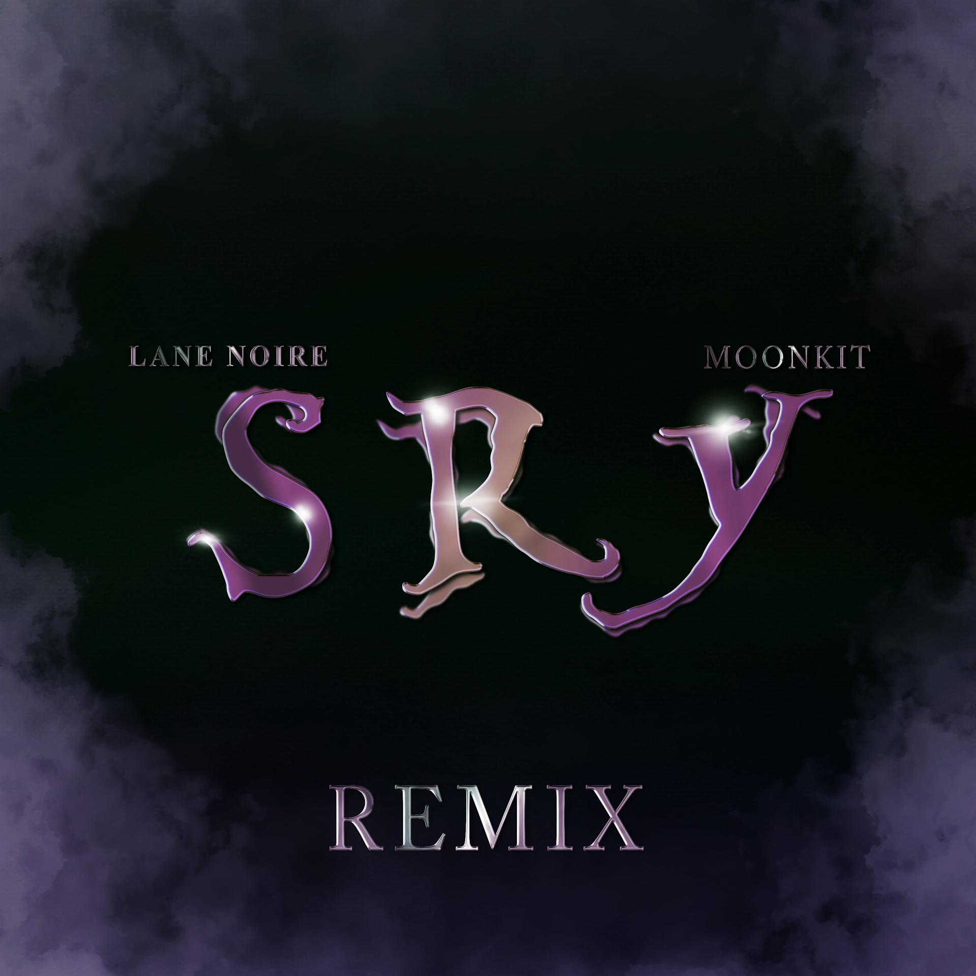 Постер альбома SRY (Remix)
