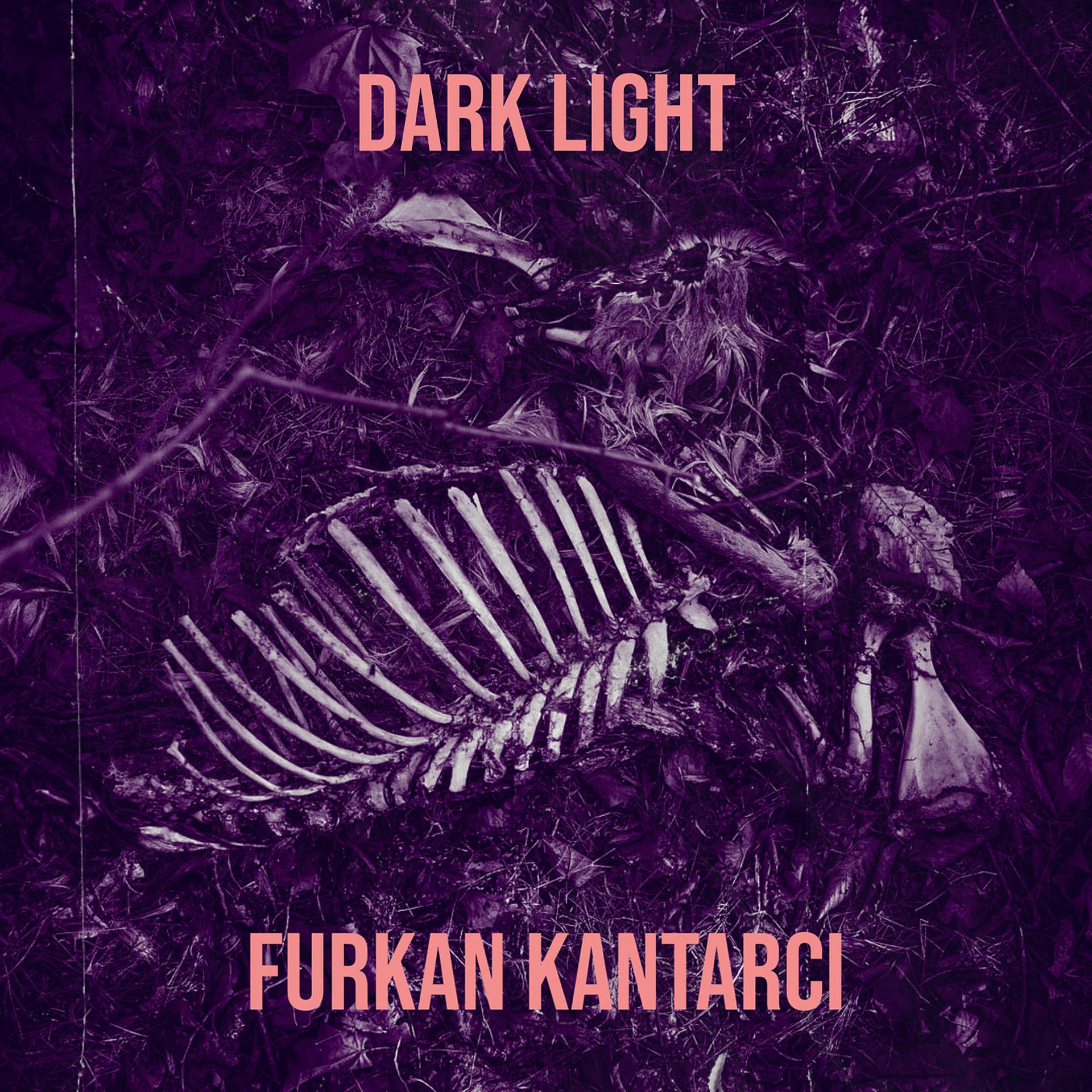 Постер альбома Dark Lıght