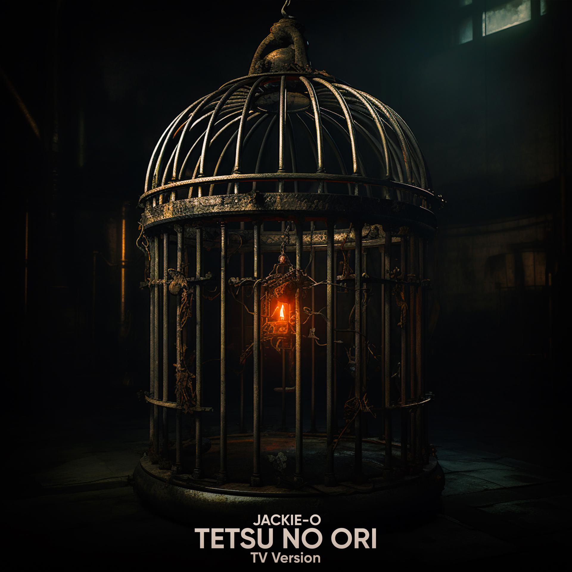 Постер альбома Tetsu No Ori (TV Version)