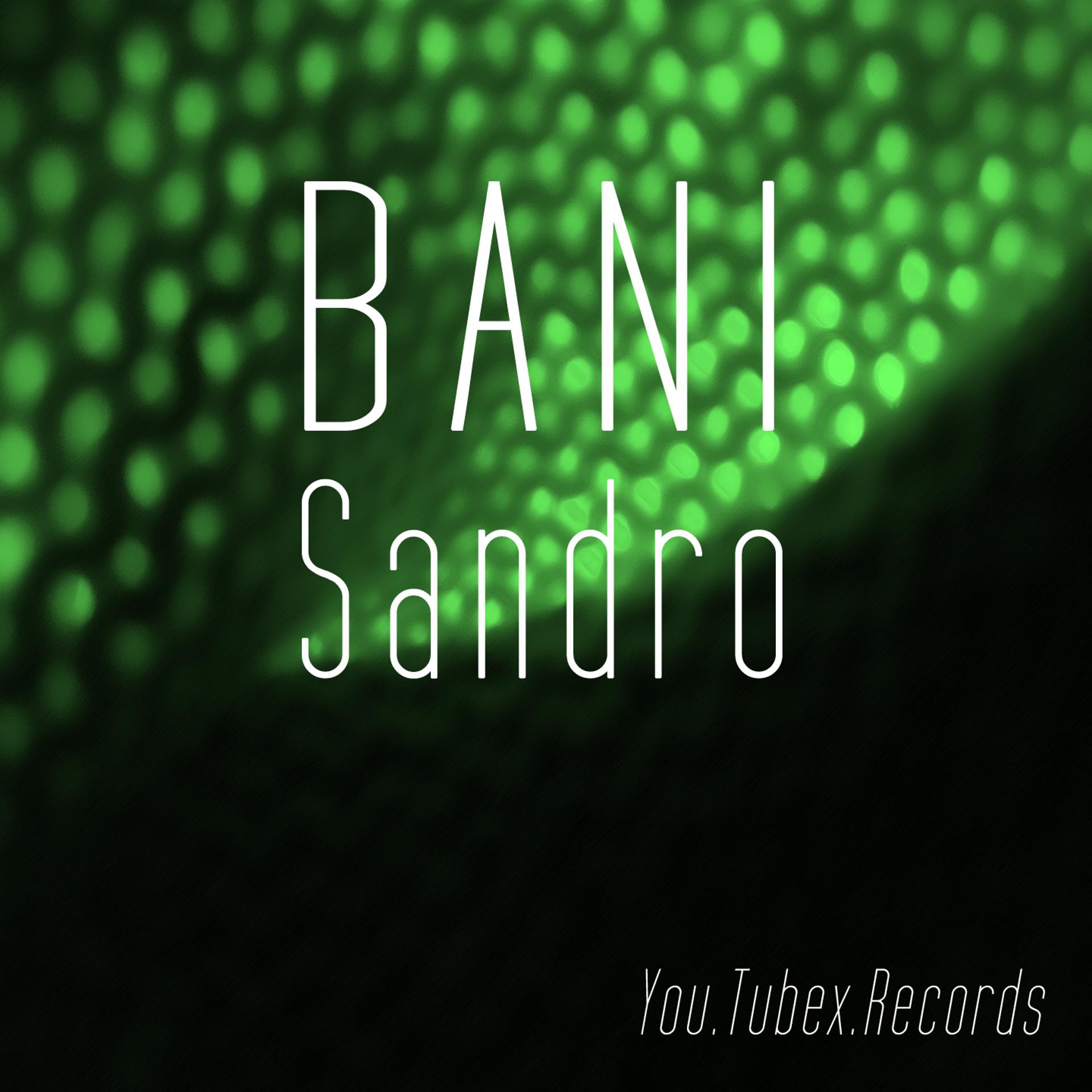 Постер альбома Bani Sandro