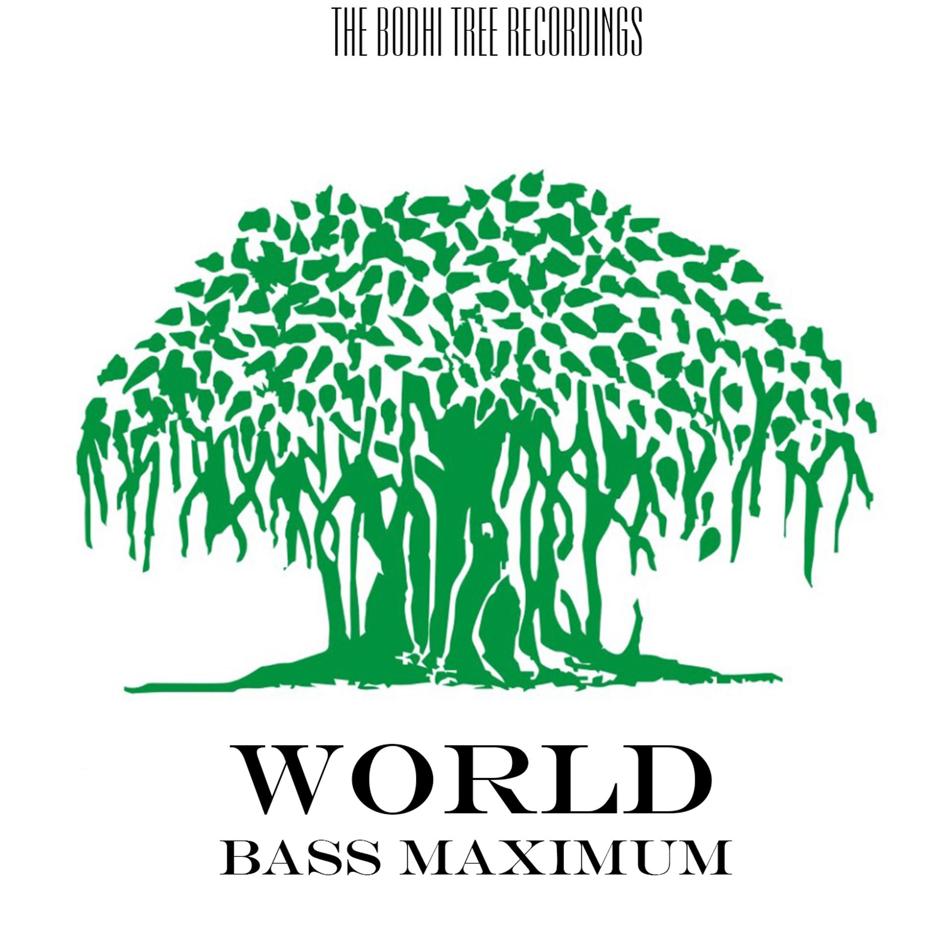 Постер альбома Bass Maximum