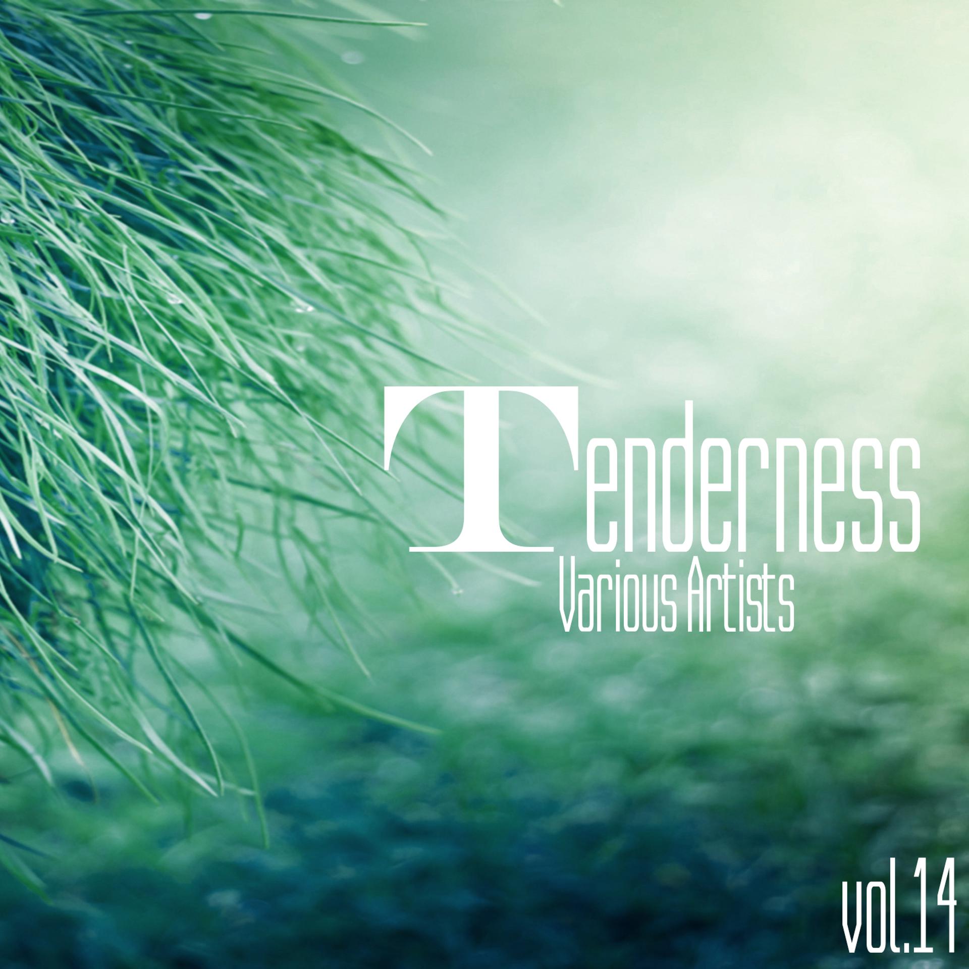 Постер альбома Tenderness, Vol. 14