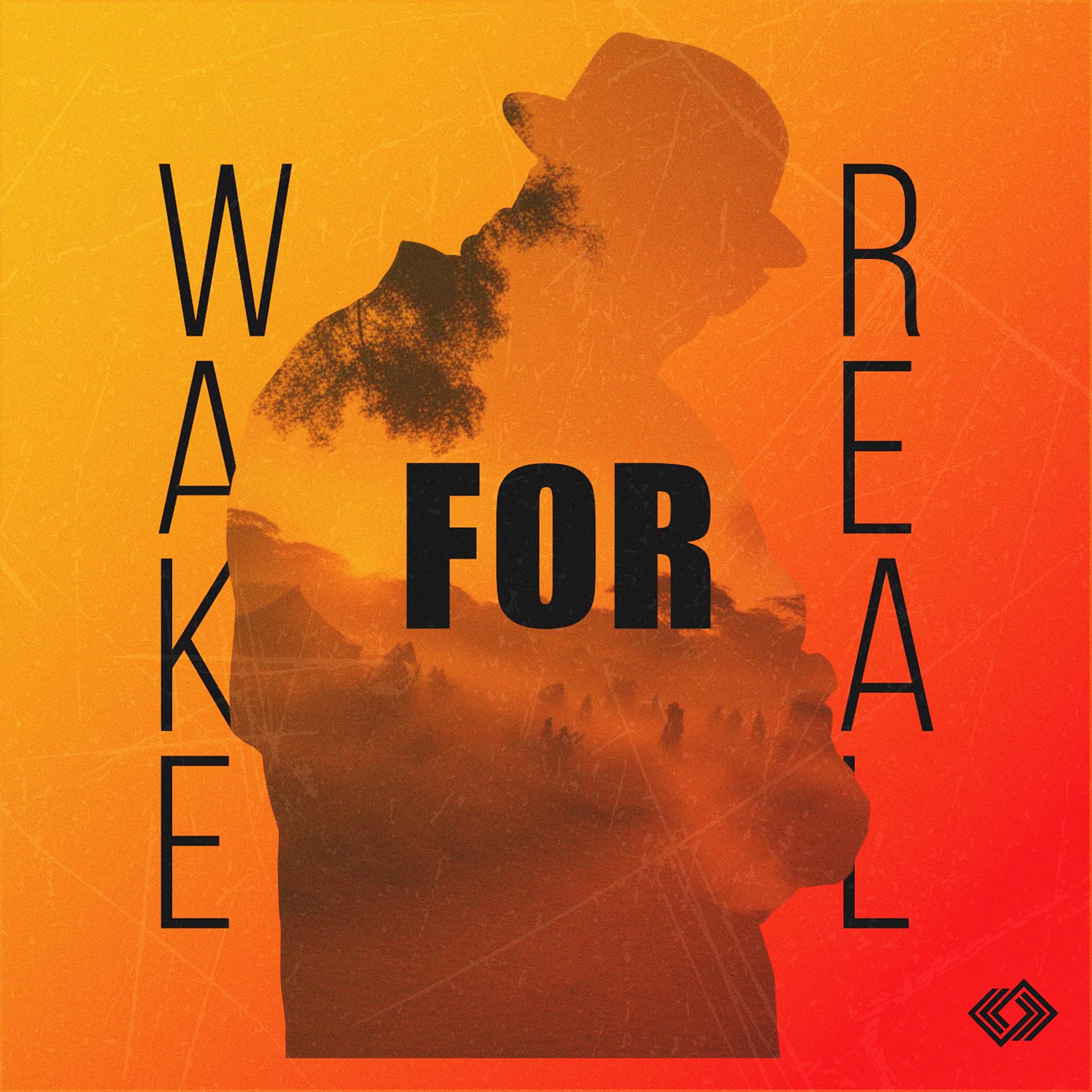 Постер альбома Wake for Real