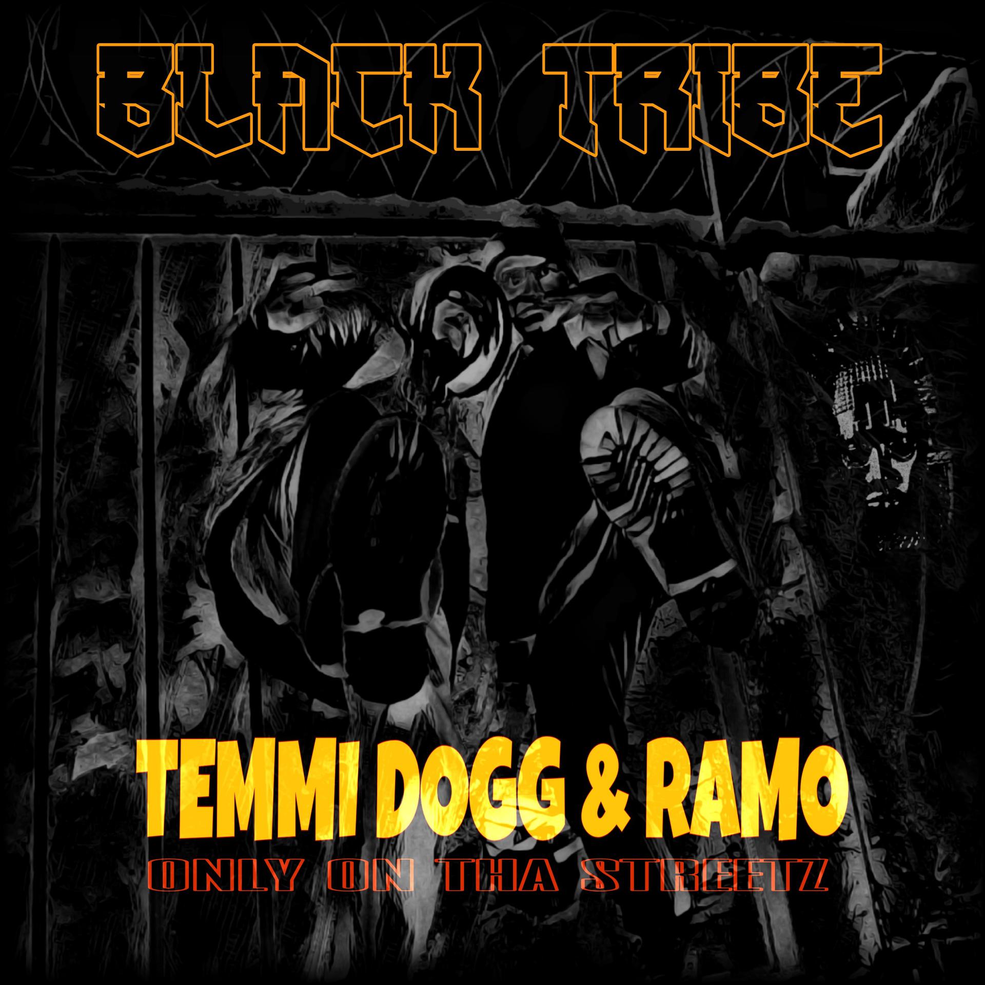 Постер альбома Temmi Dogg and Ramo (Only on Tha Streetz)