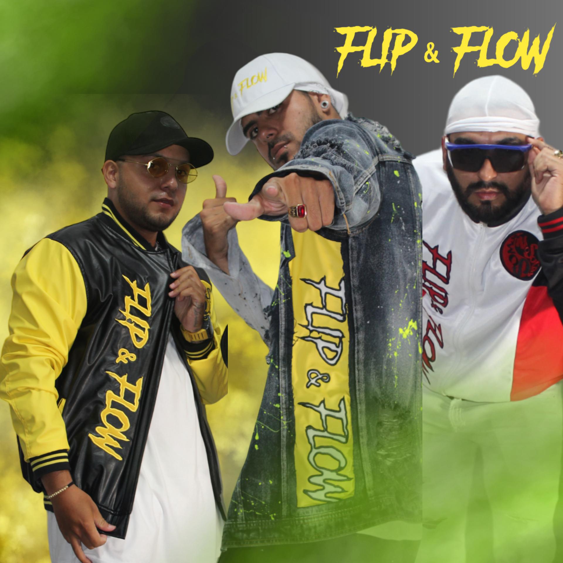 Постер альбома Flip & Flow