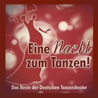 Постер альбома Eine Nacht zum Tanzen (Das Beste der Deutschen Tanzorchester)